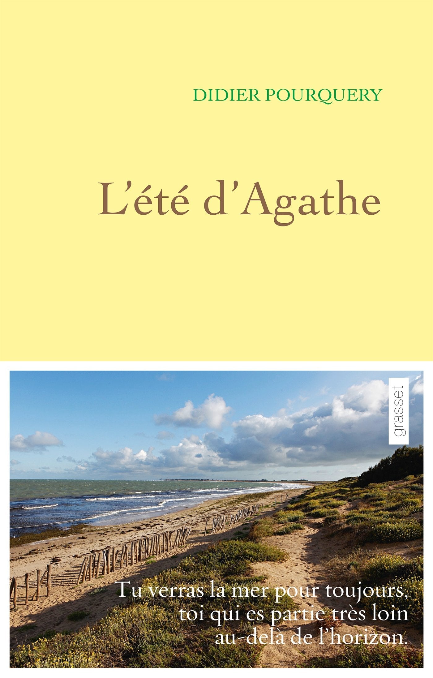 L'été d'Agathe 9782246858539