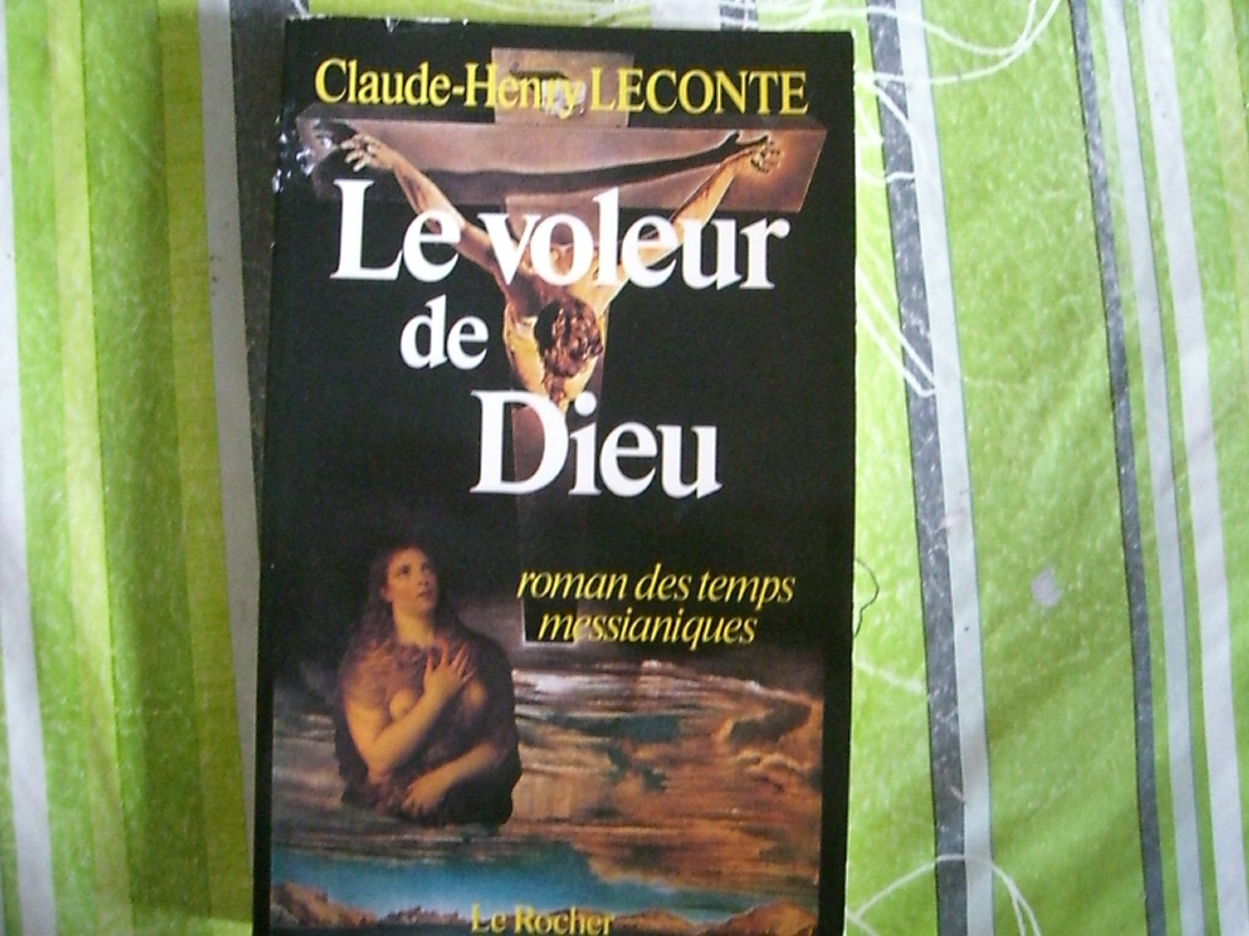 Le voleur de Dieu 9782268006048