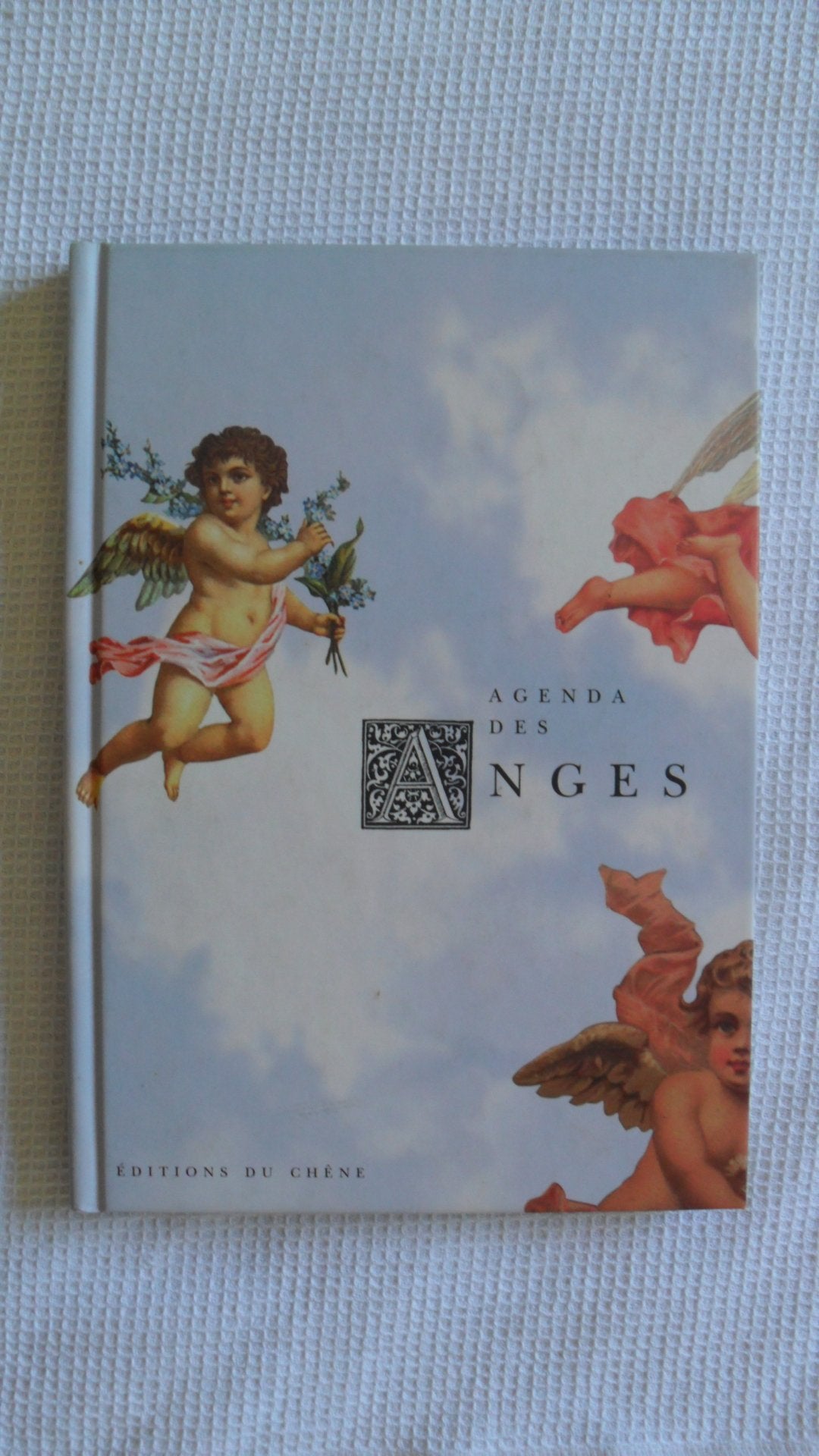 Agenda des anges 9782851089205