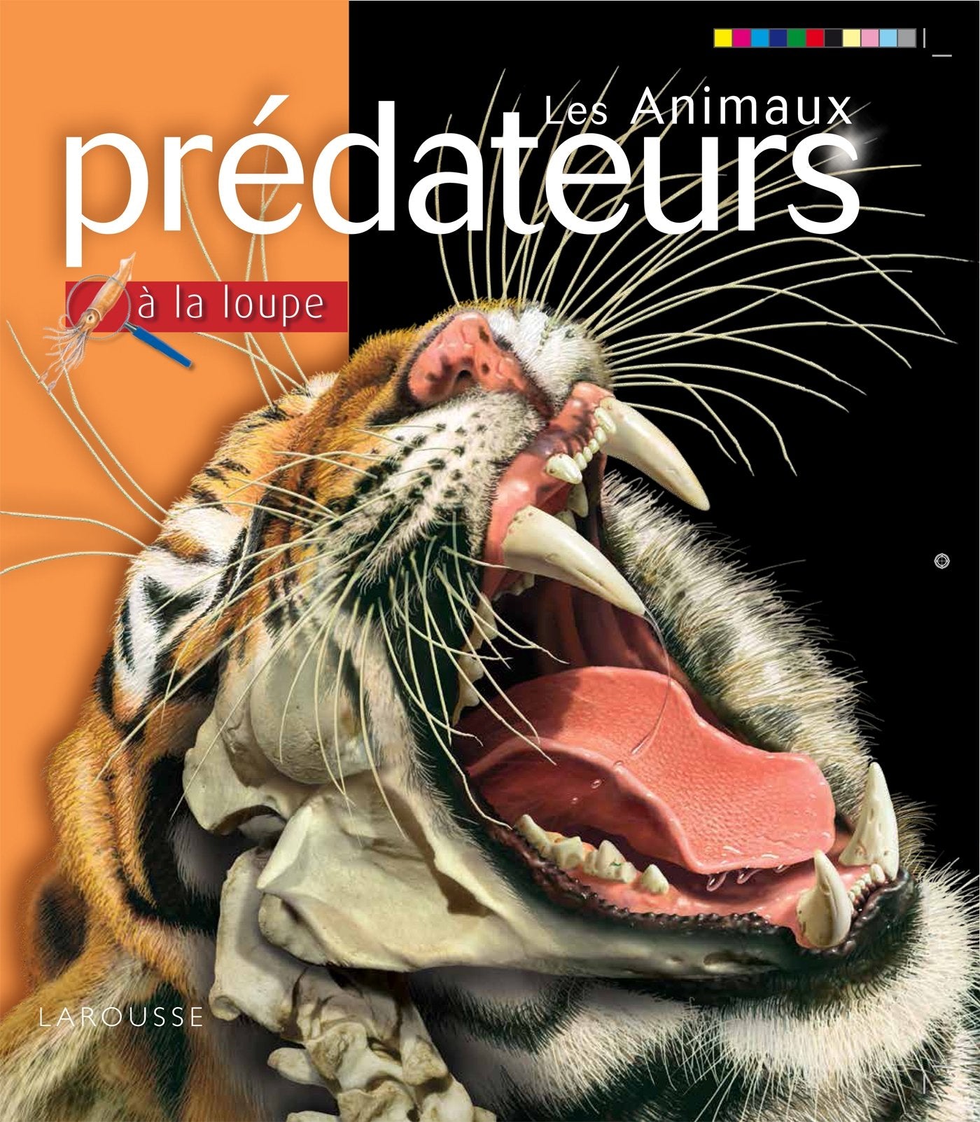 Les animaux prédateurs 9782035898197