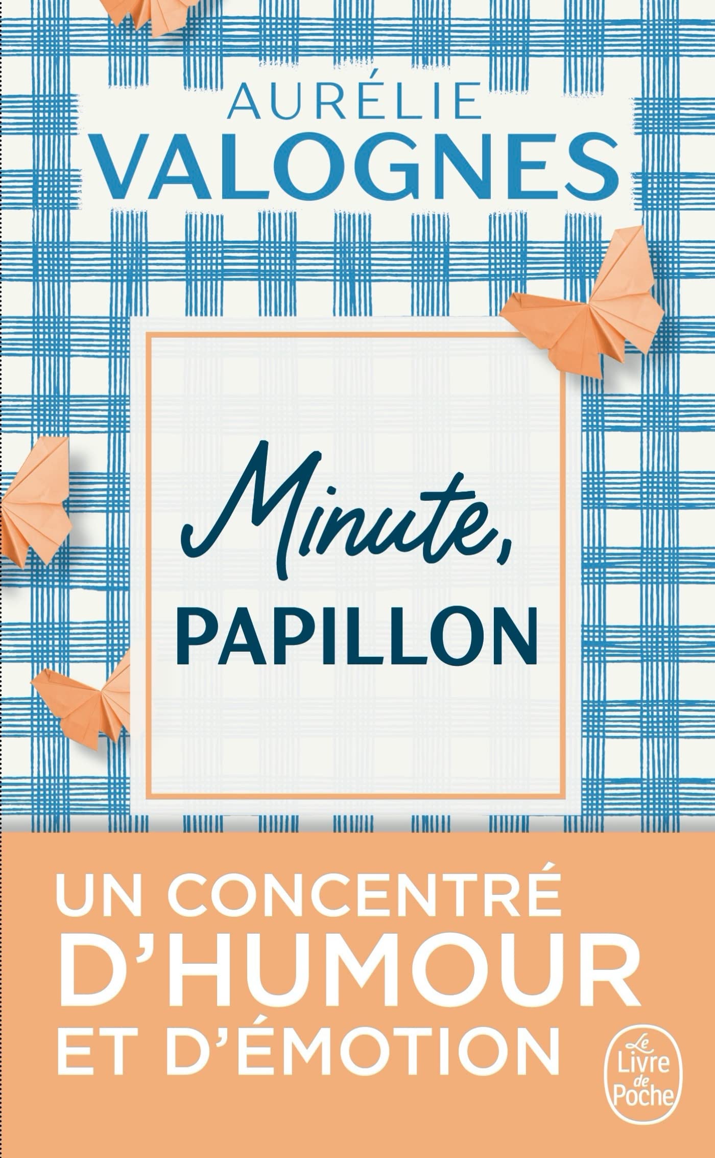 Minute, papillon ! 9782253073178