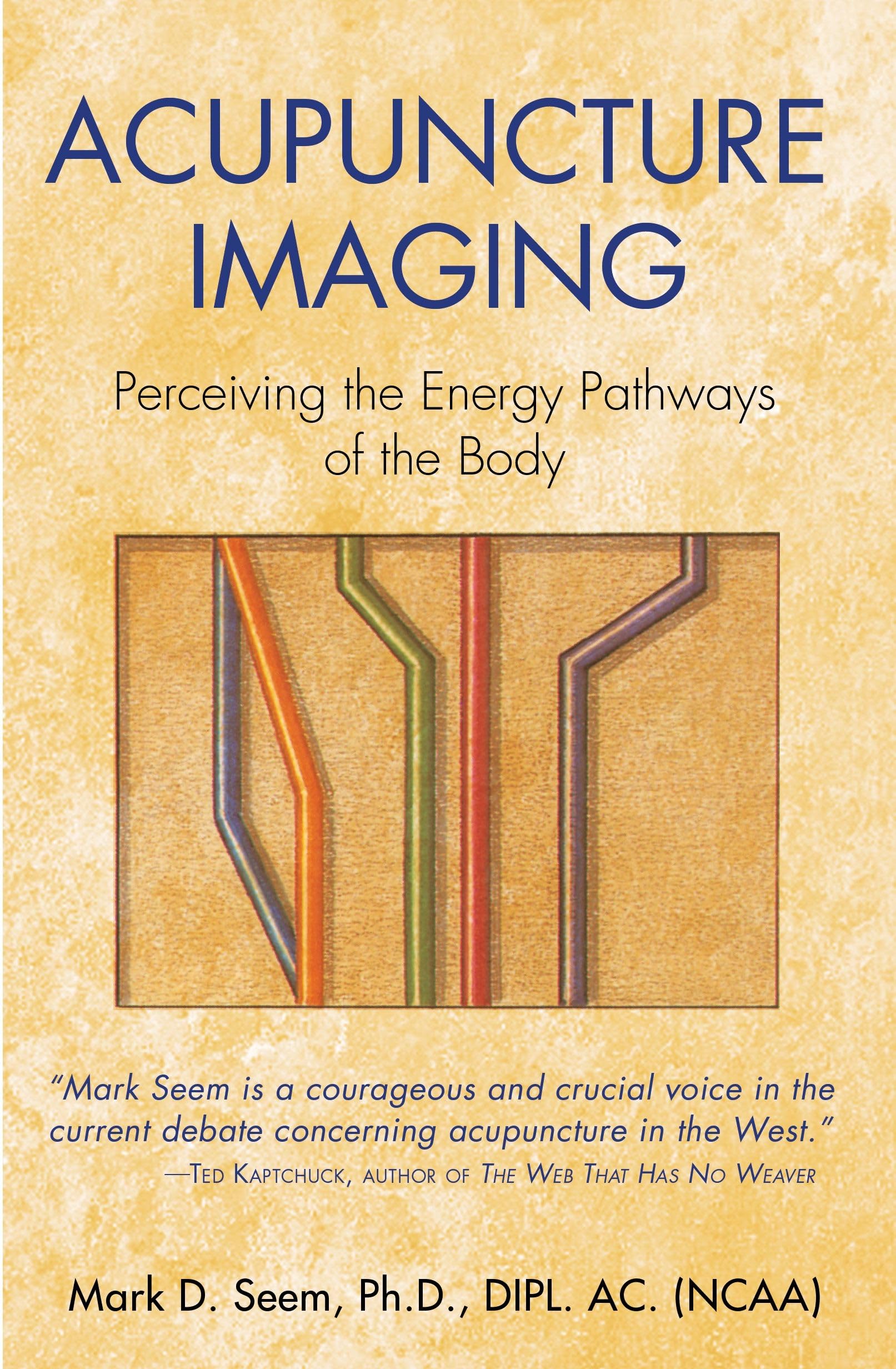 Acupuncture Imaging: Perceiving the Energy Pathways of the Body 9780892811878
