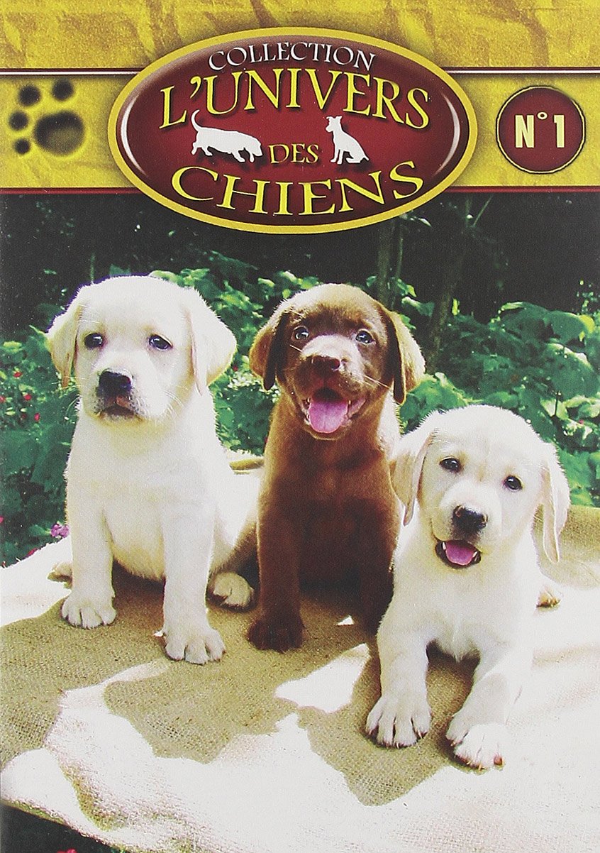 L'Univers des chiens N°1 3760113361210