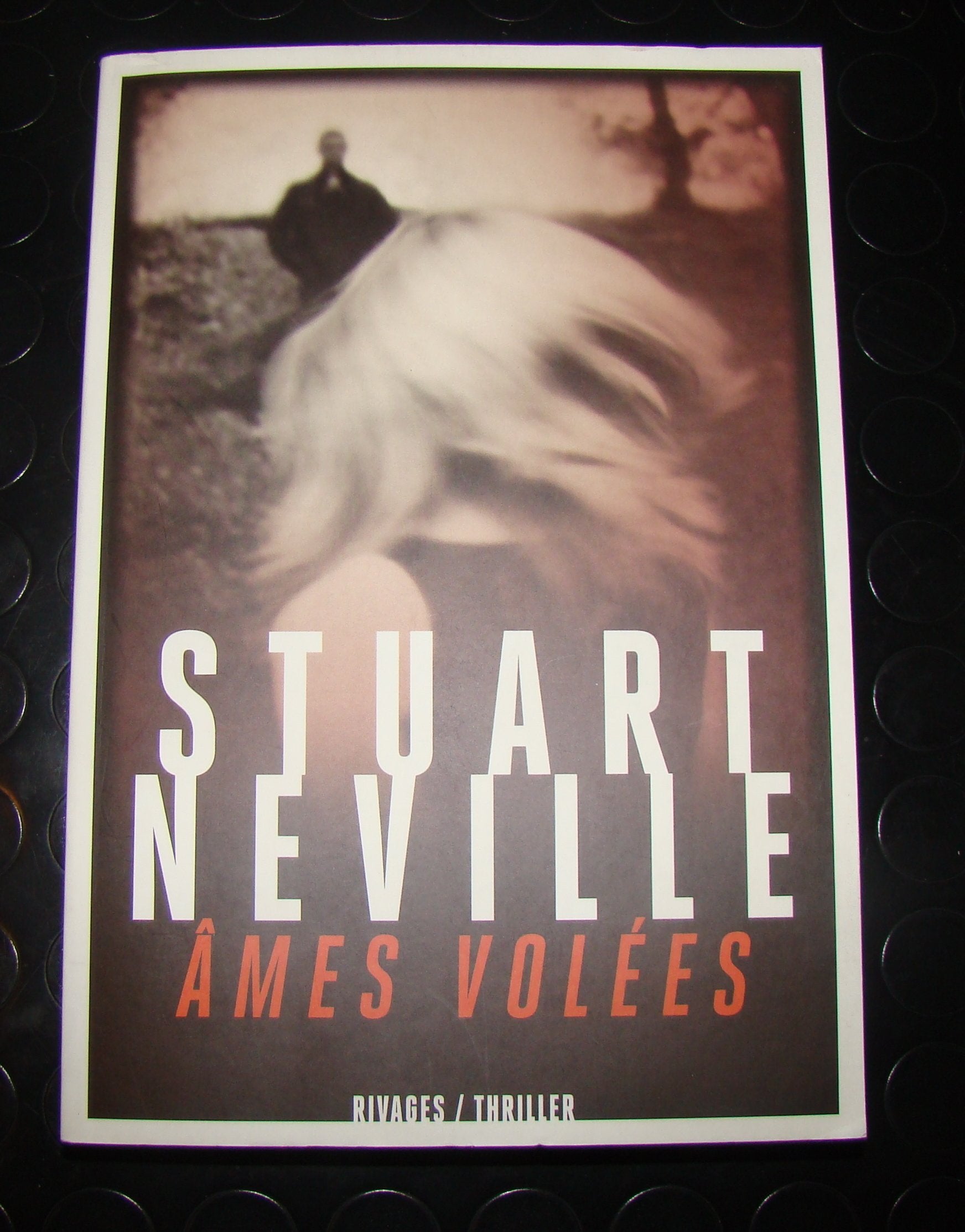 Ames volées 9782743626228