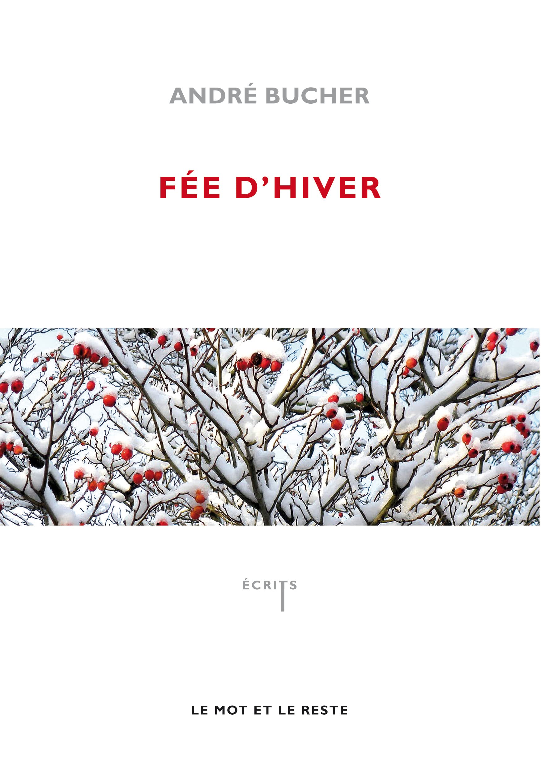 Fée d'hiver 9782360540372