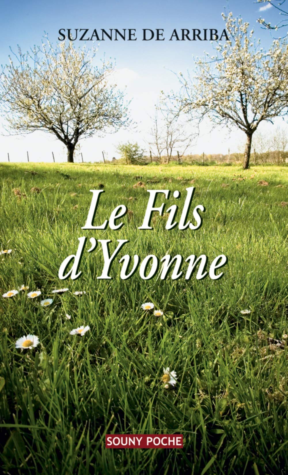 Le Fils d'Yvonne - 35 9782848863467