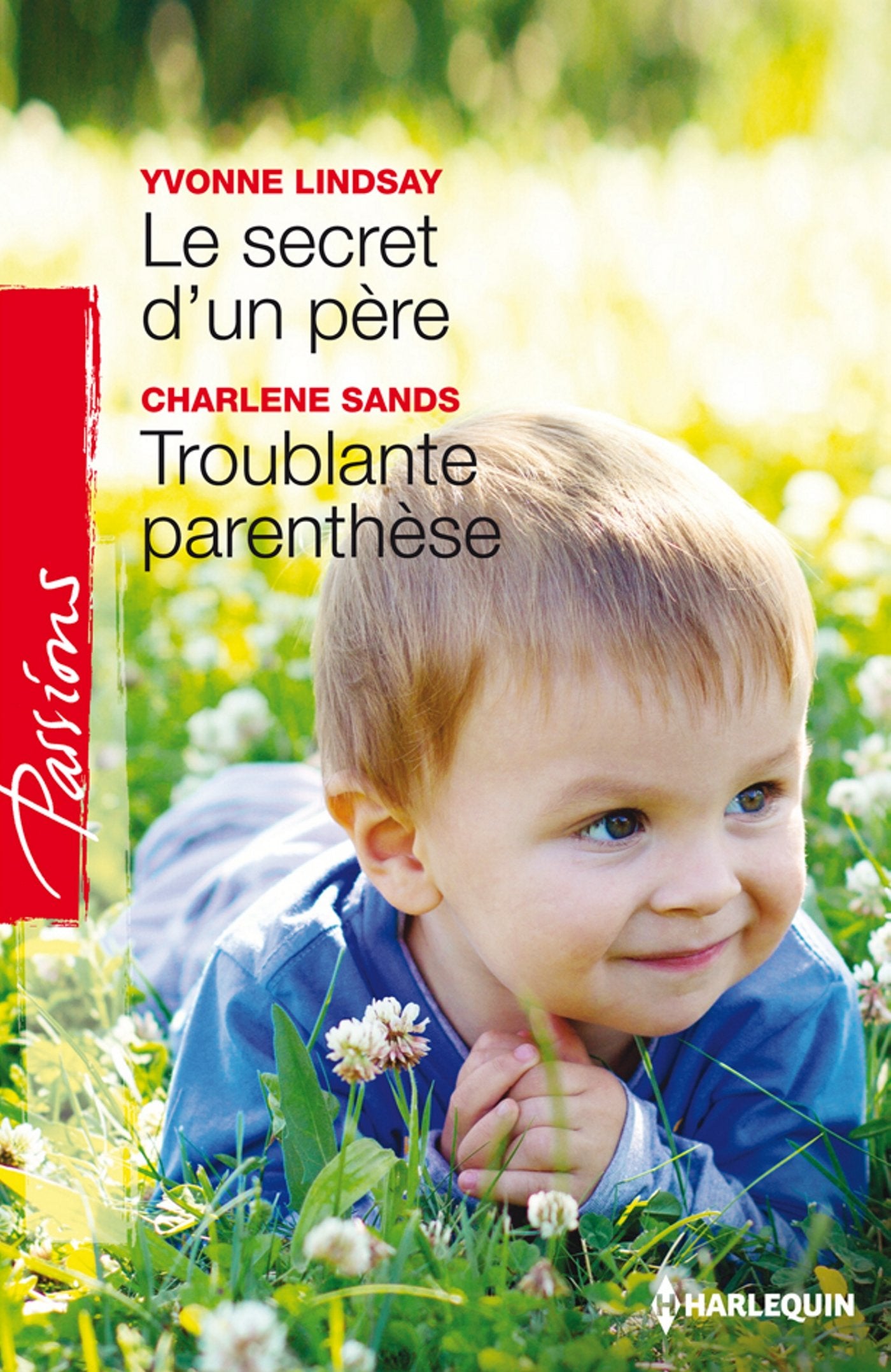 Le secret d'un père ; Troublante parenthèse 9782280282802
