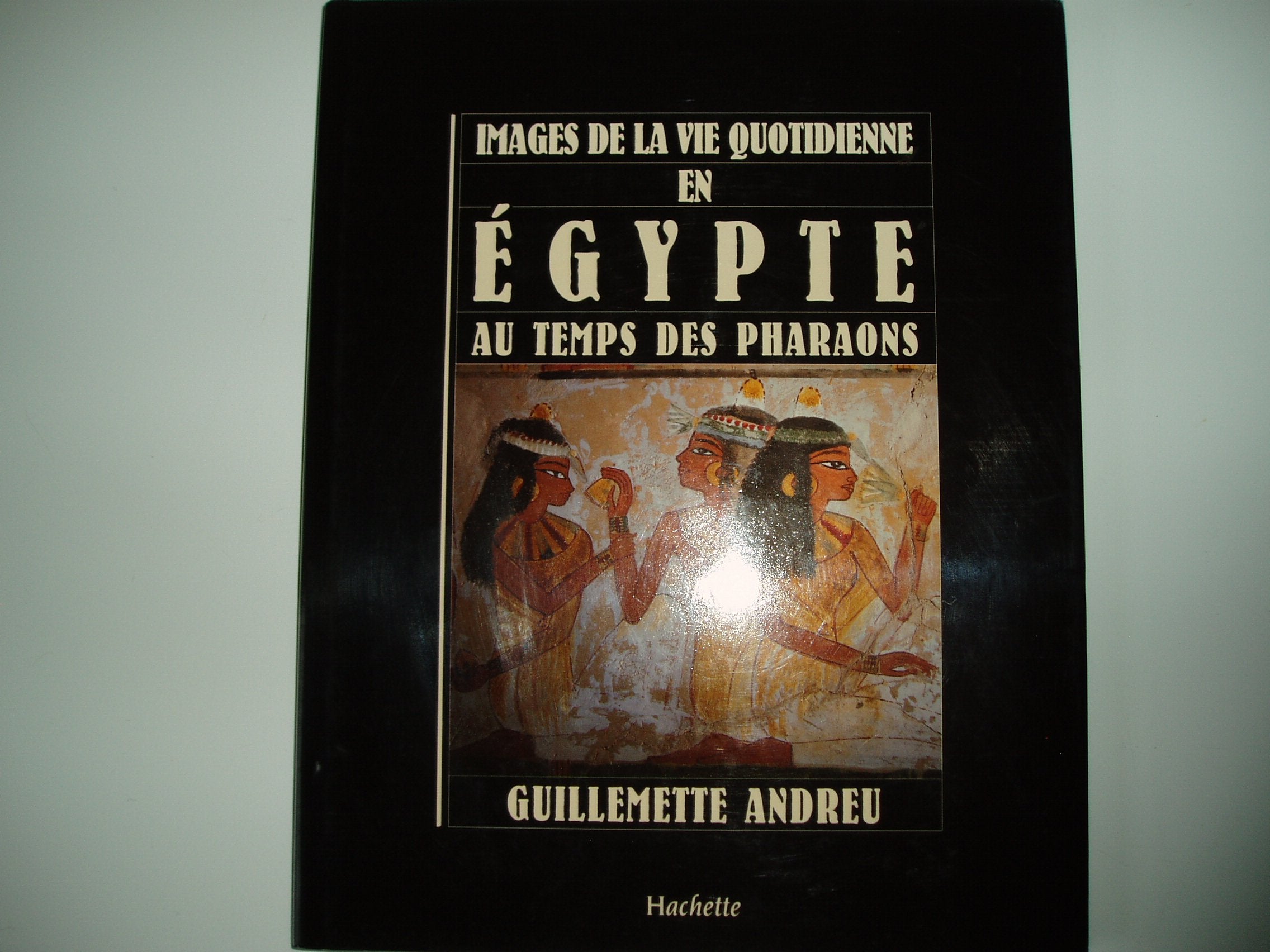 Images de la vie quotidienne en Égypte au temps des pharaons 9782010127199