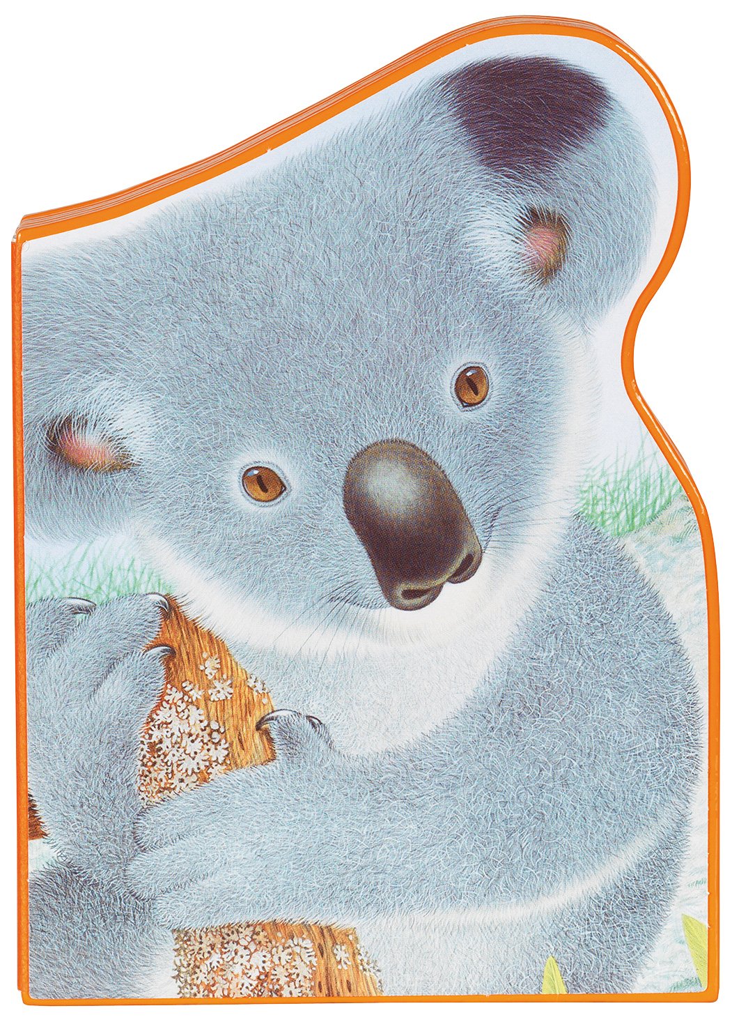 Polka le koala: L'Australie 9782841969289