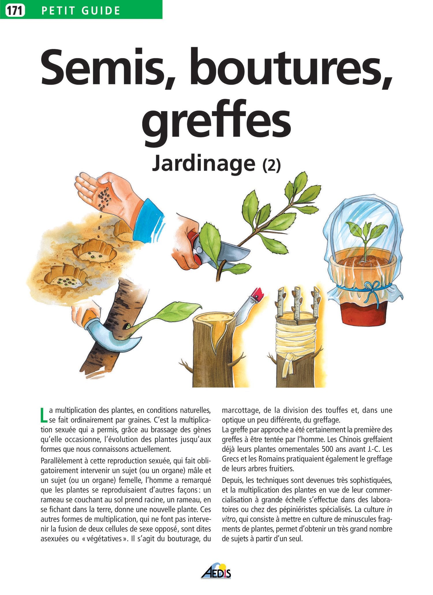 PG171 - Le jardinage : Tome 2, Semis, boutures, greffes 9782842592707