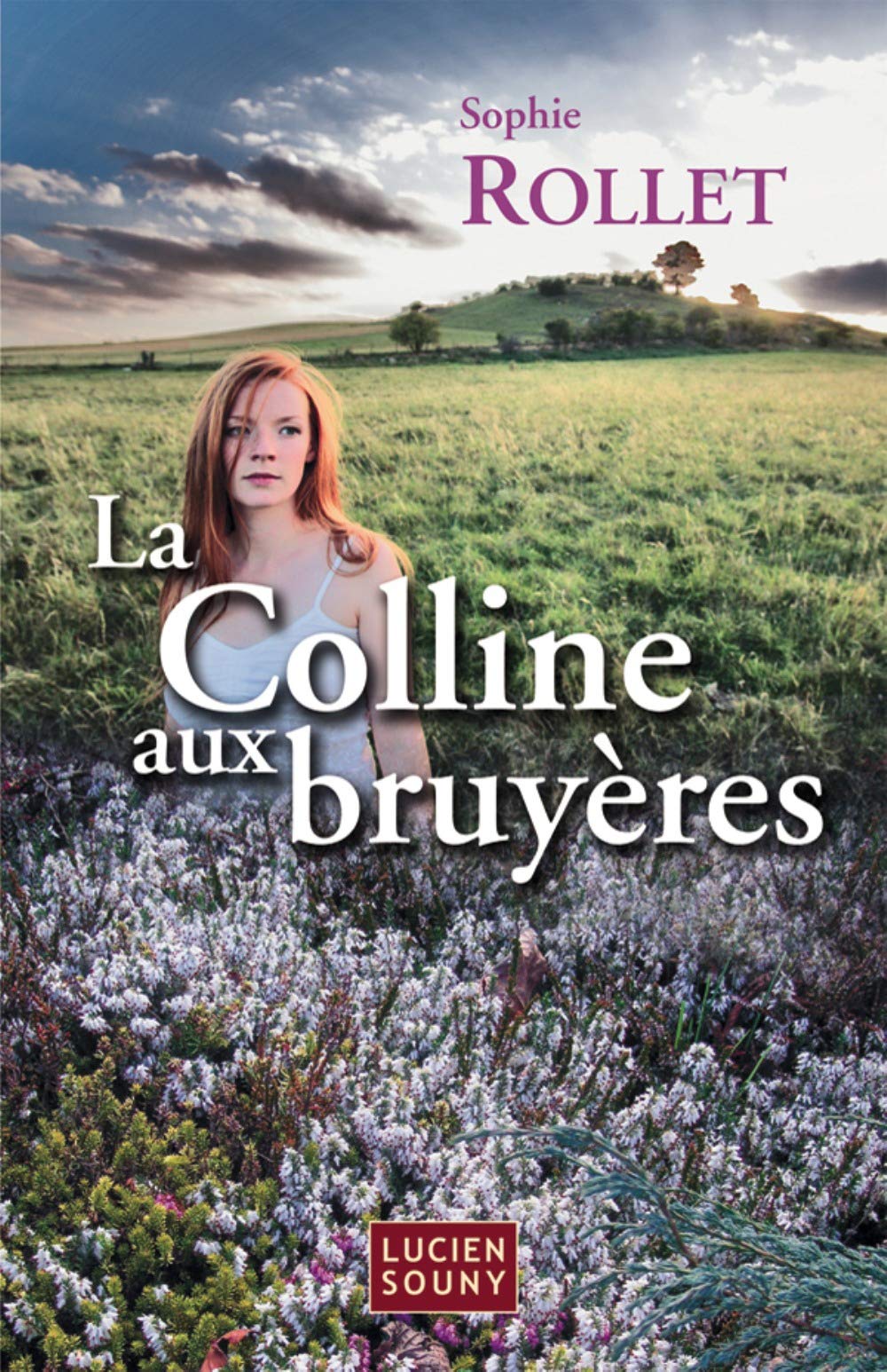 La Colline aux bruyères 9782848862194