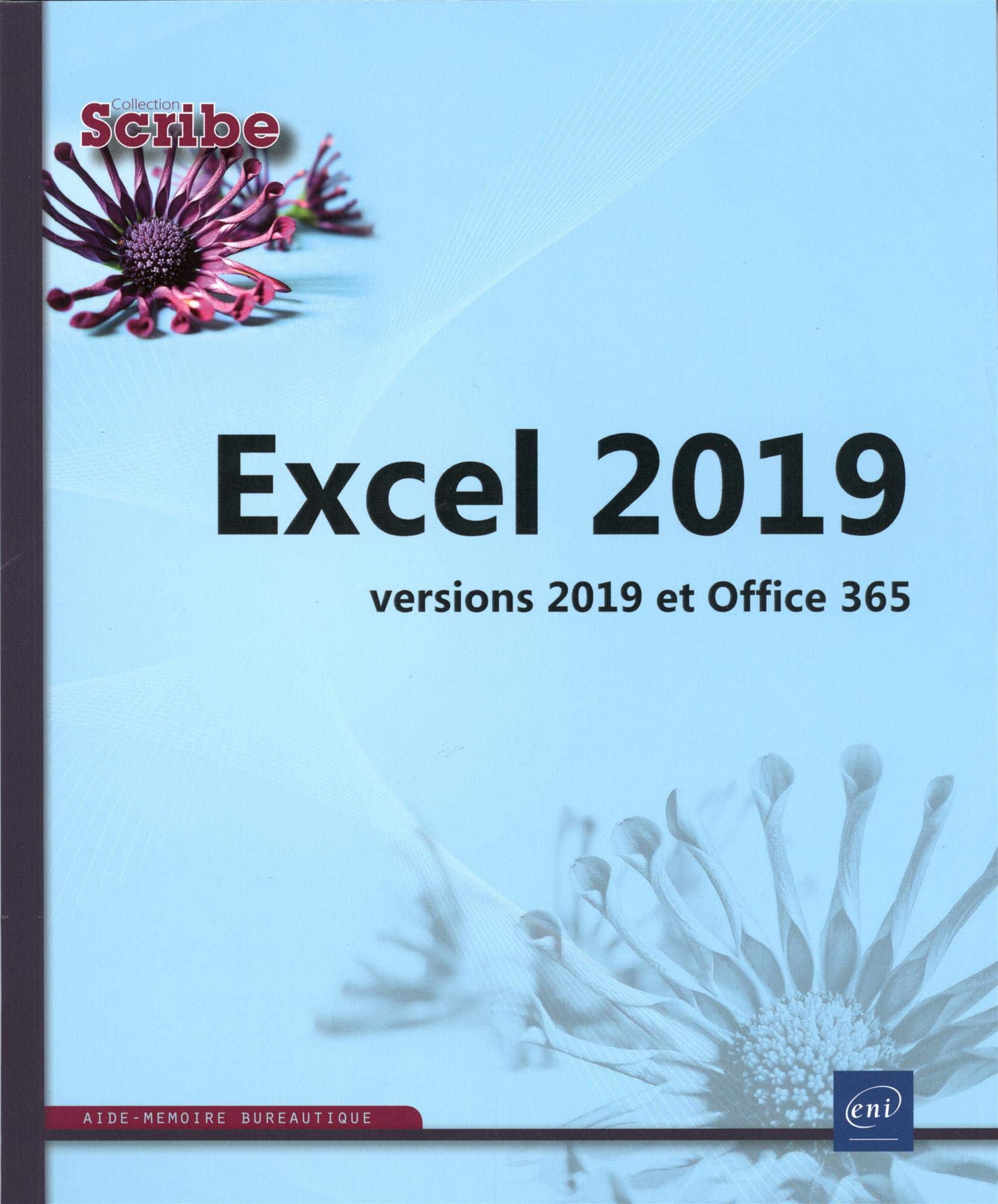 Excel - versions 2019 et Office 365 9782409017070