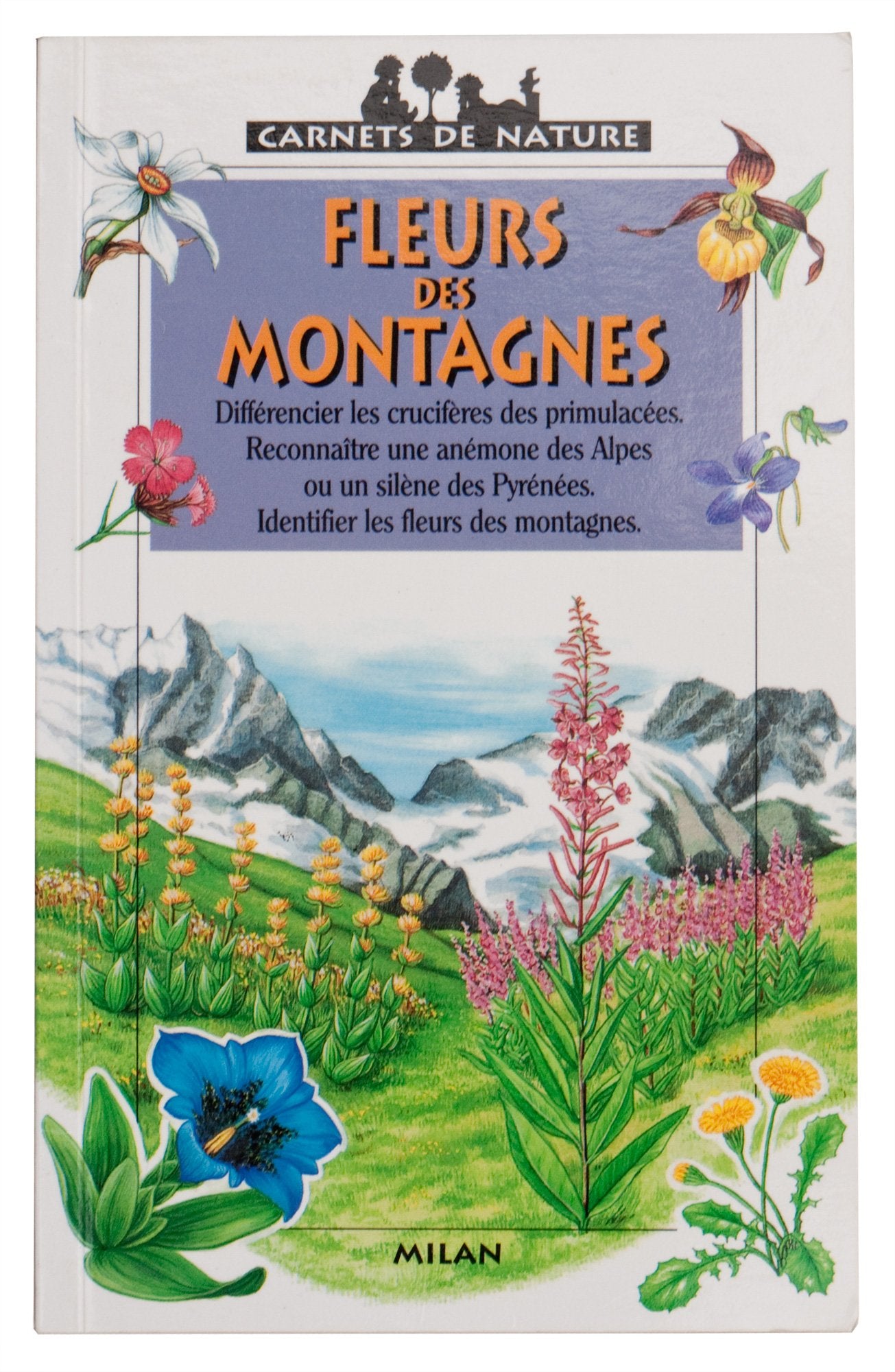 Fleurs des montagnes 9782841131419