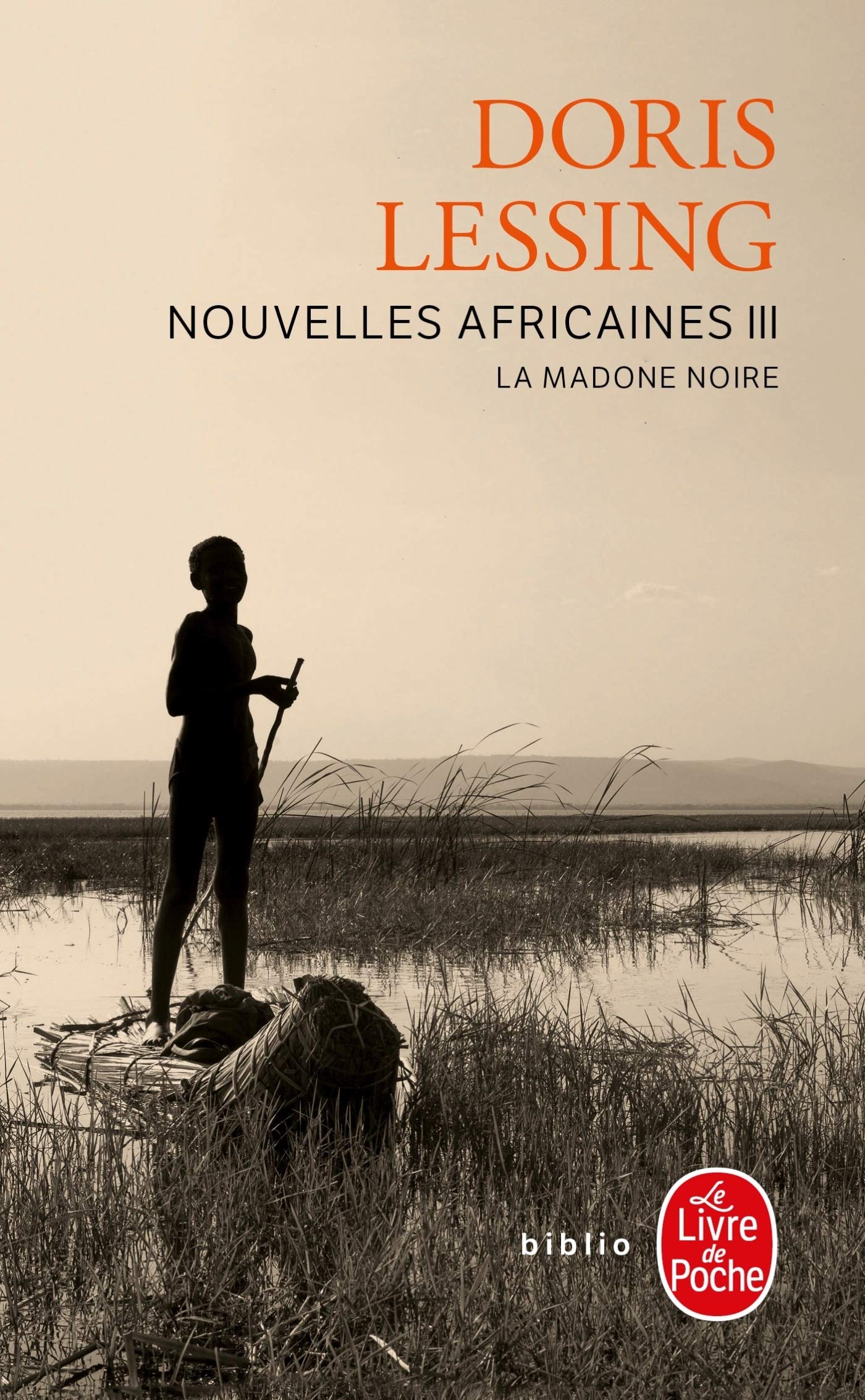 La Madone noire (Nouvelles africaines, Tome 3): La Madone noire 9782253099338