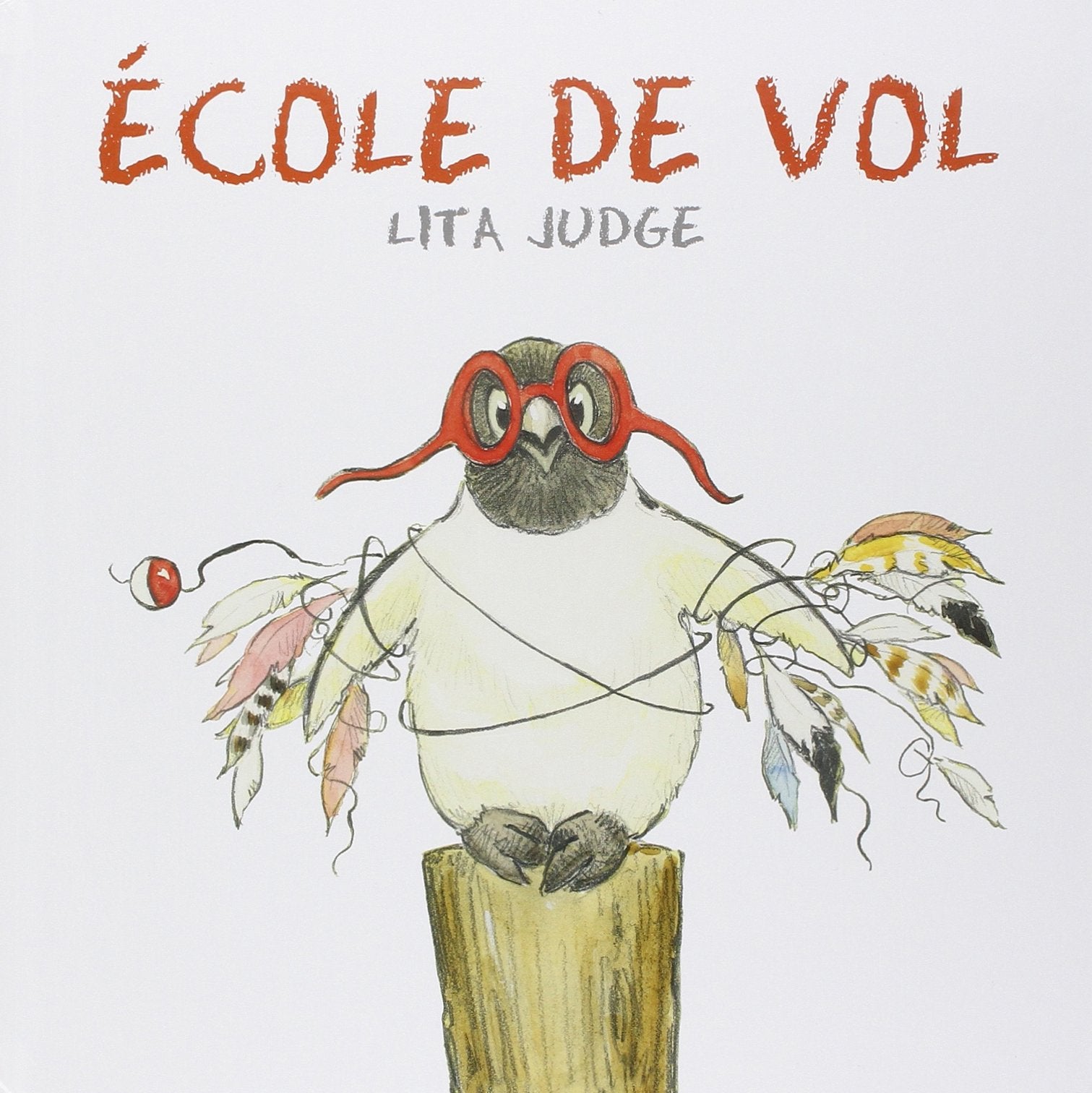 ECOLE DE VOL 9782877678667