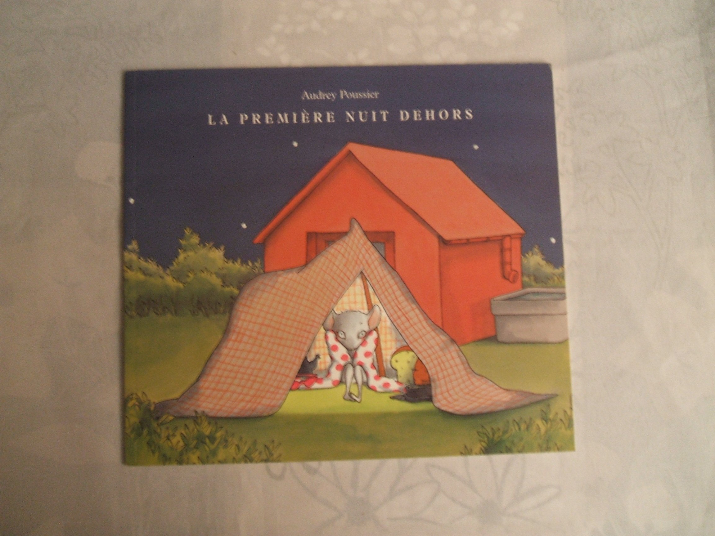 La première nuit dehors 9782211084635