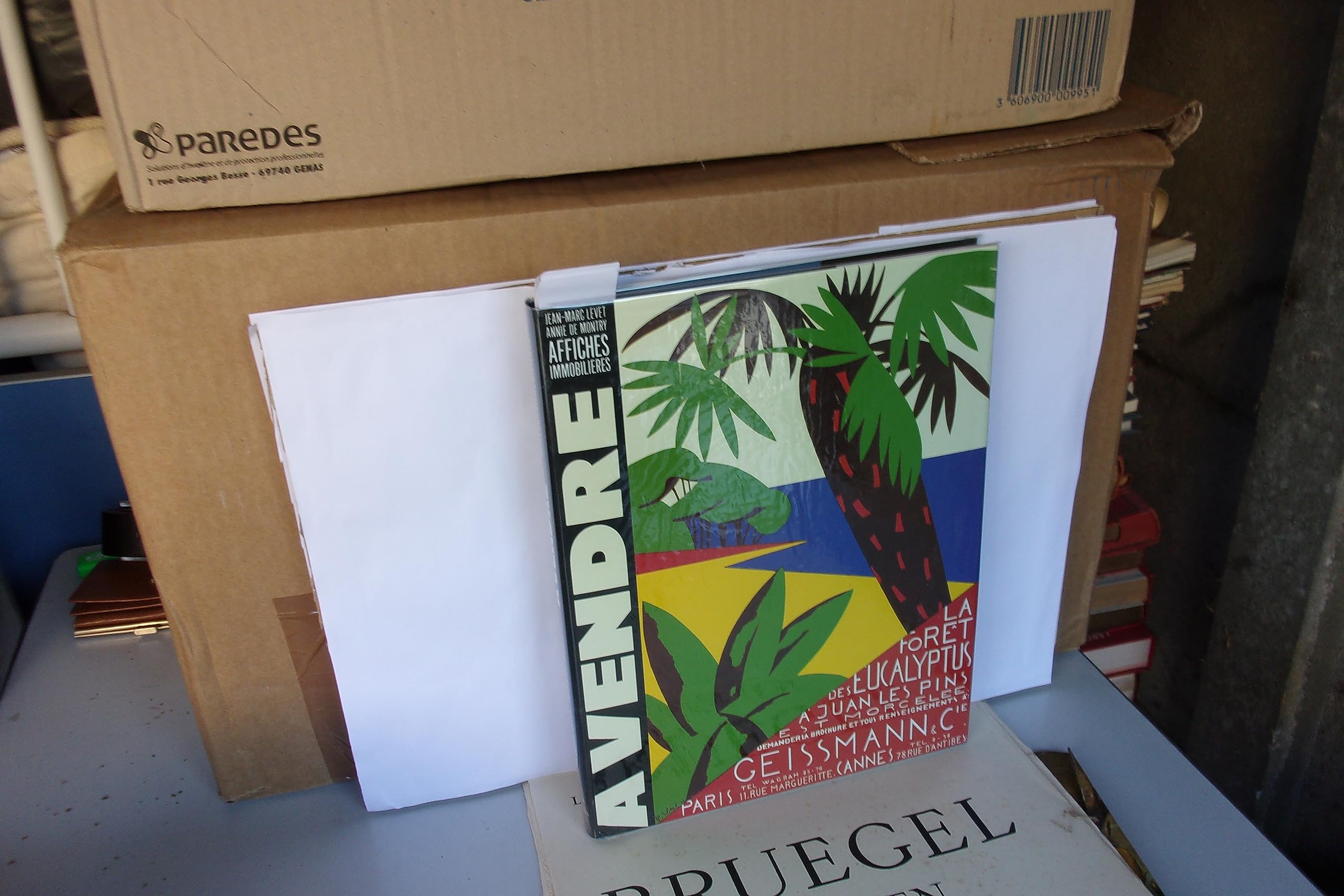 A vendre: Affiches immobilieres 9782950369819