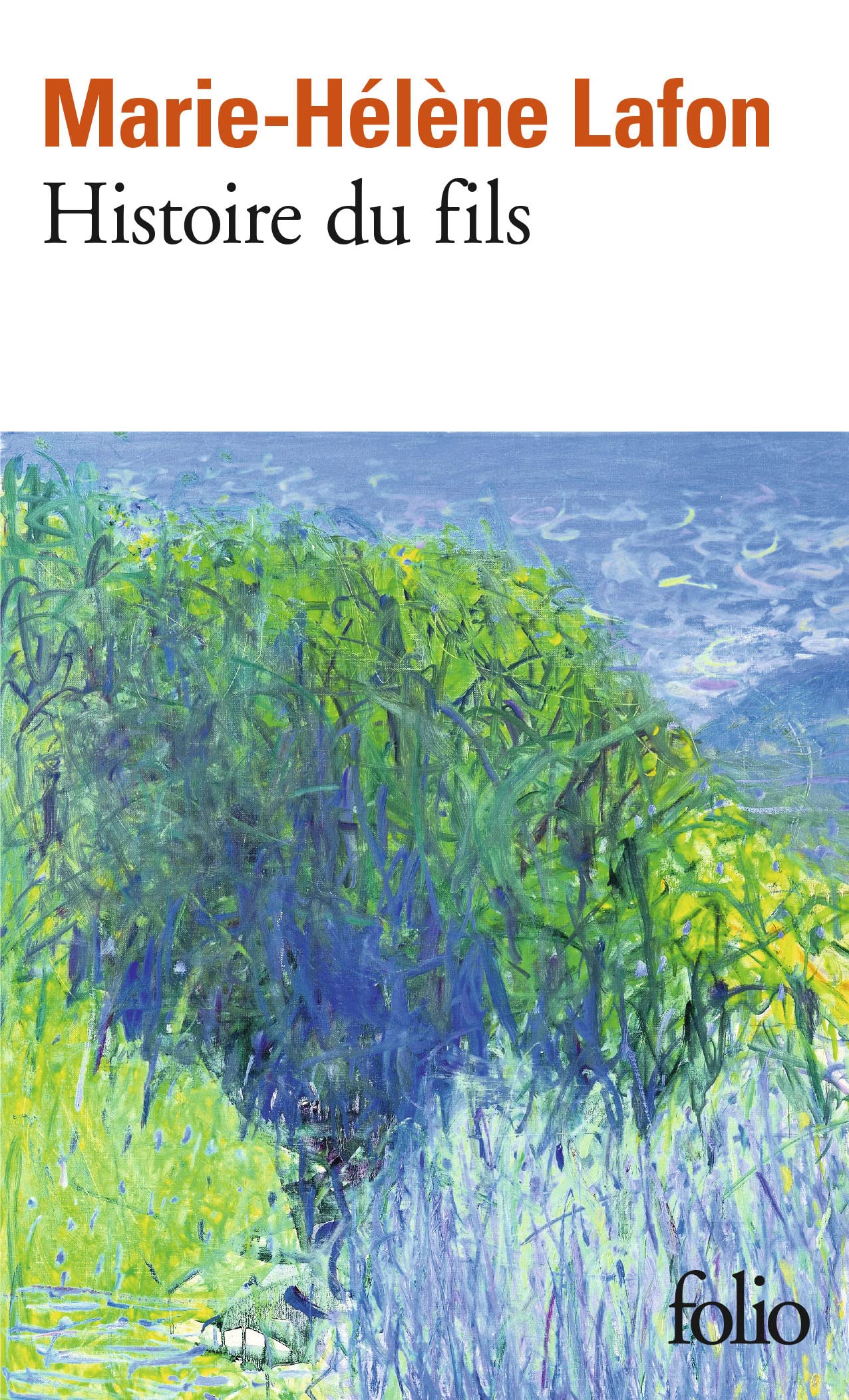 Histoire du fils 9782072935695