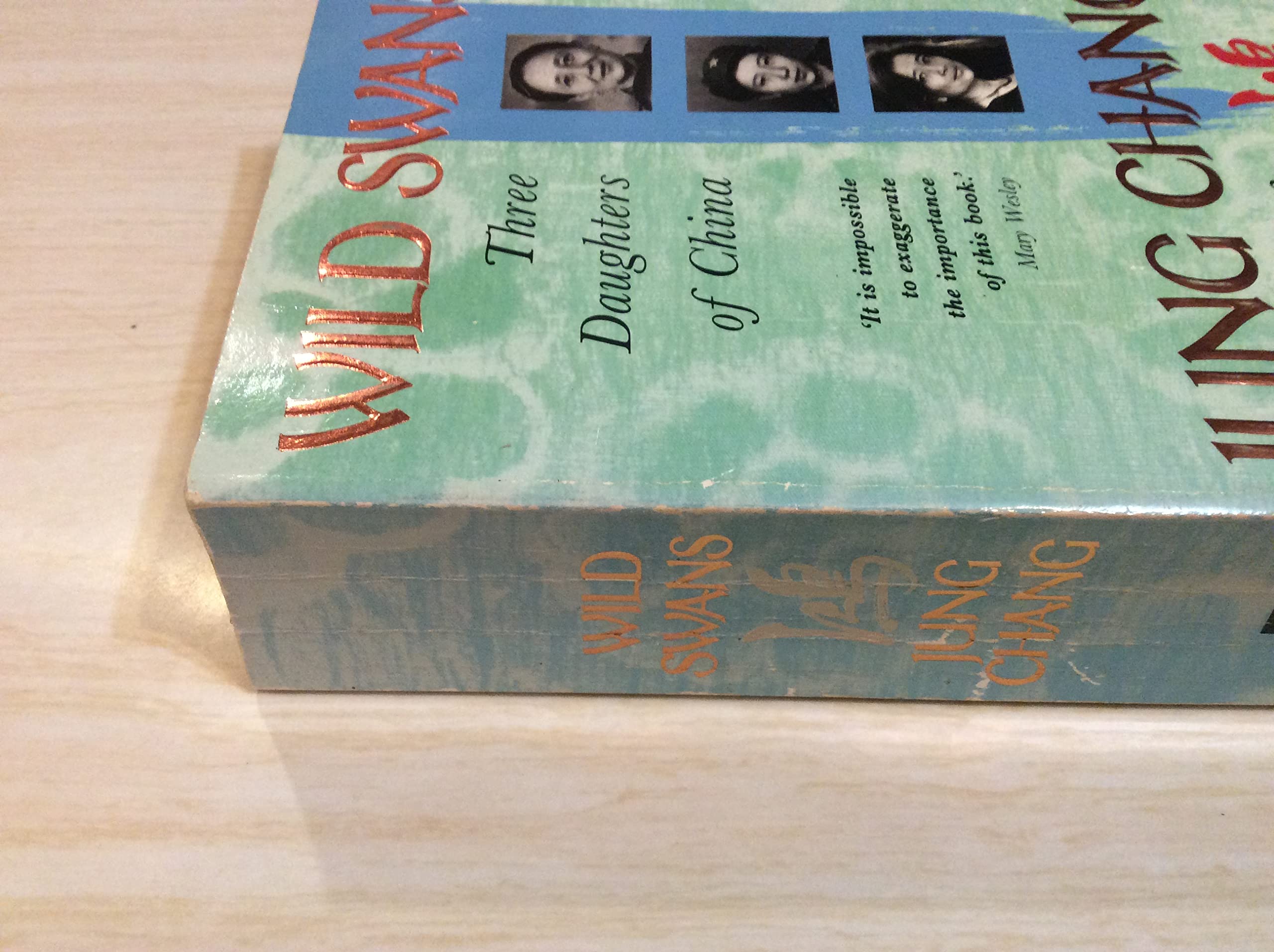 Wild Swans 9780006374923