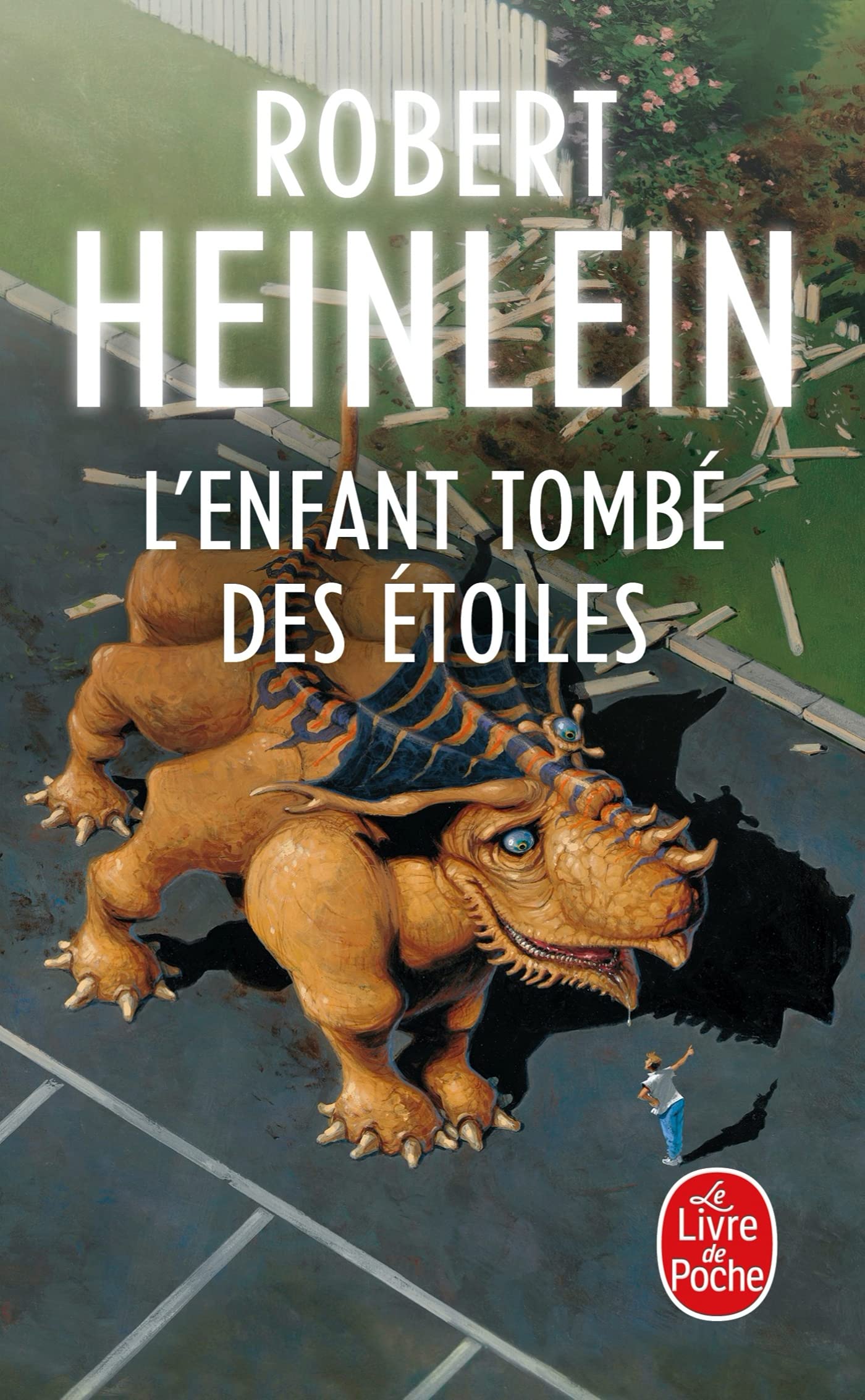 L'Enfant tombé des étoiles 9782253023463