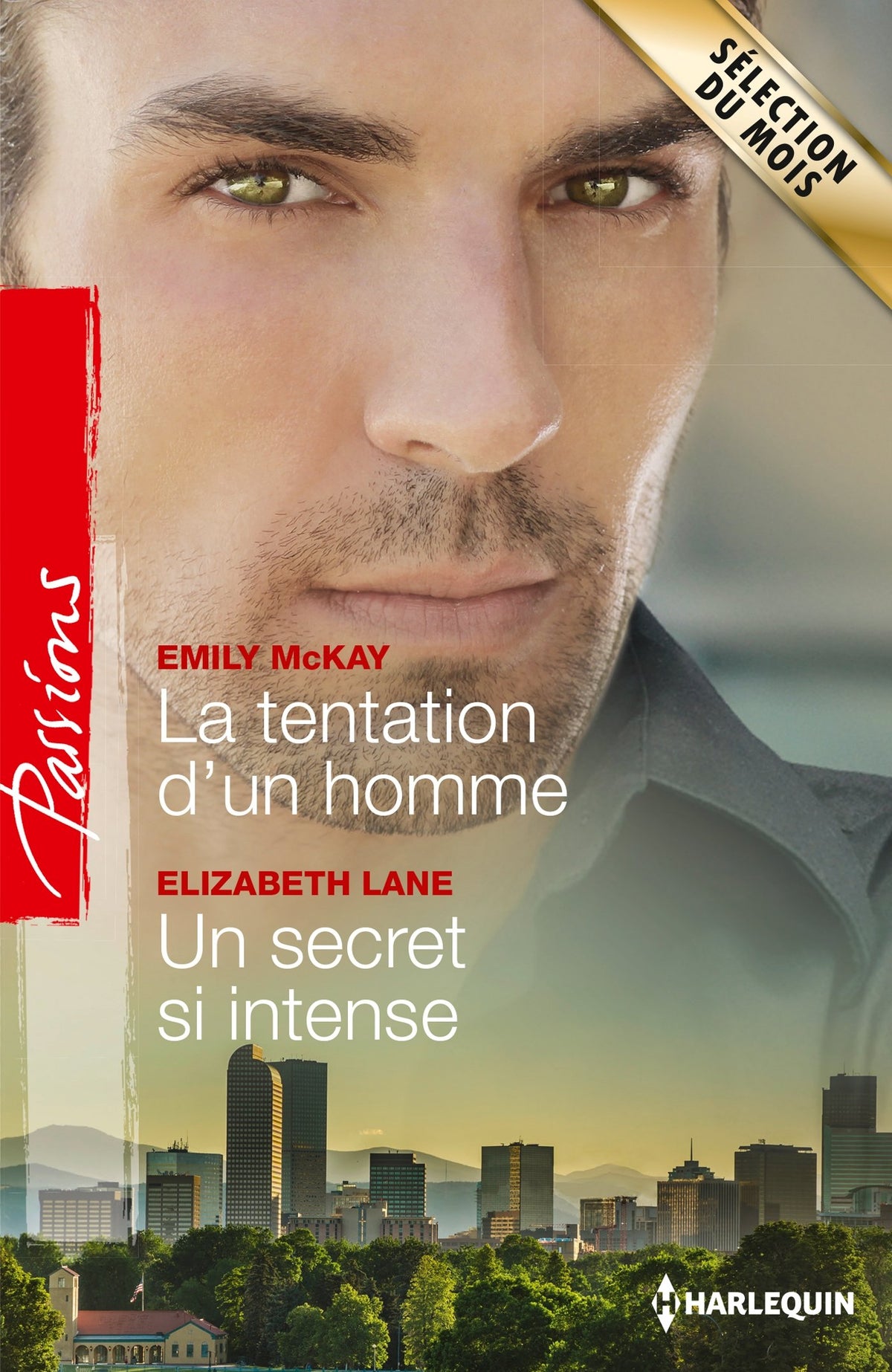 La tentation d'un homme ; Un secret si intense 9782280329156