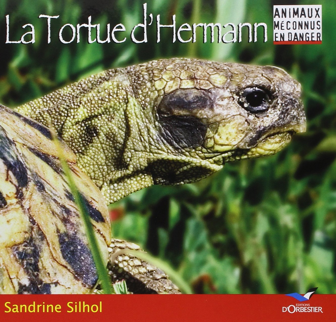 La Tortue D'Hermann 9782842381127