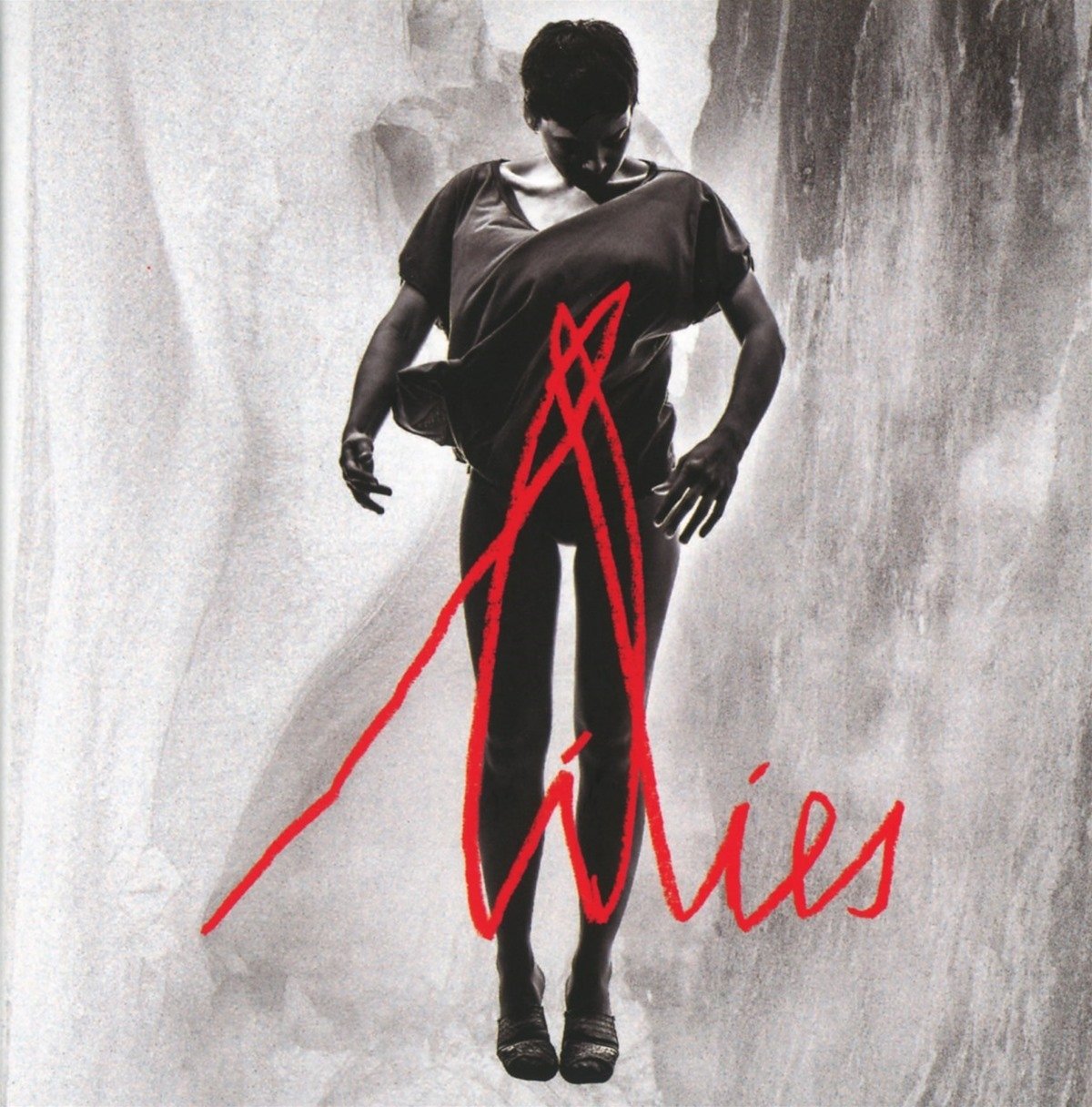 Lilies 5414939964473