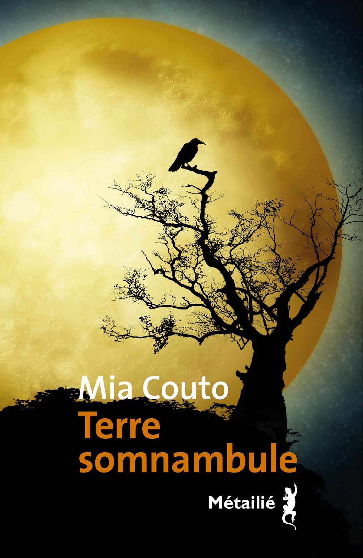 Terre somnambule 9791022614160