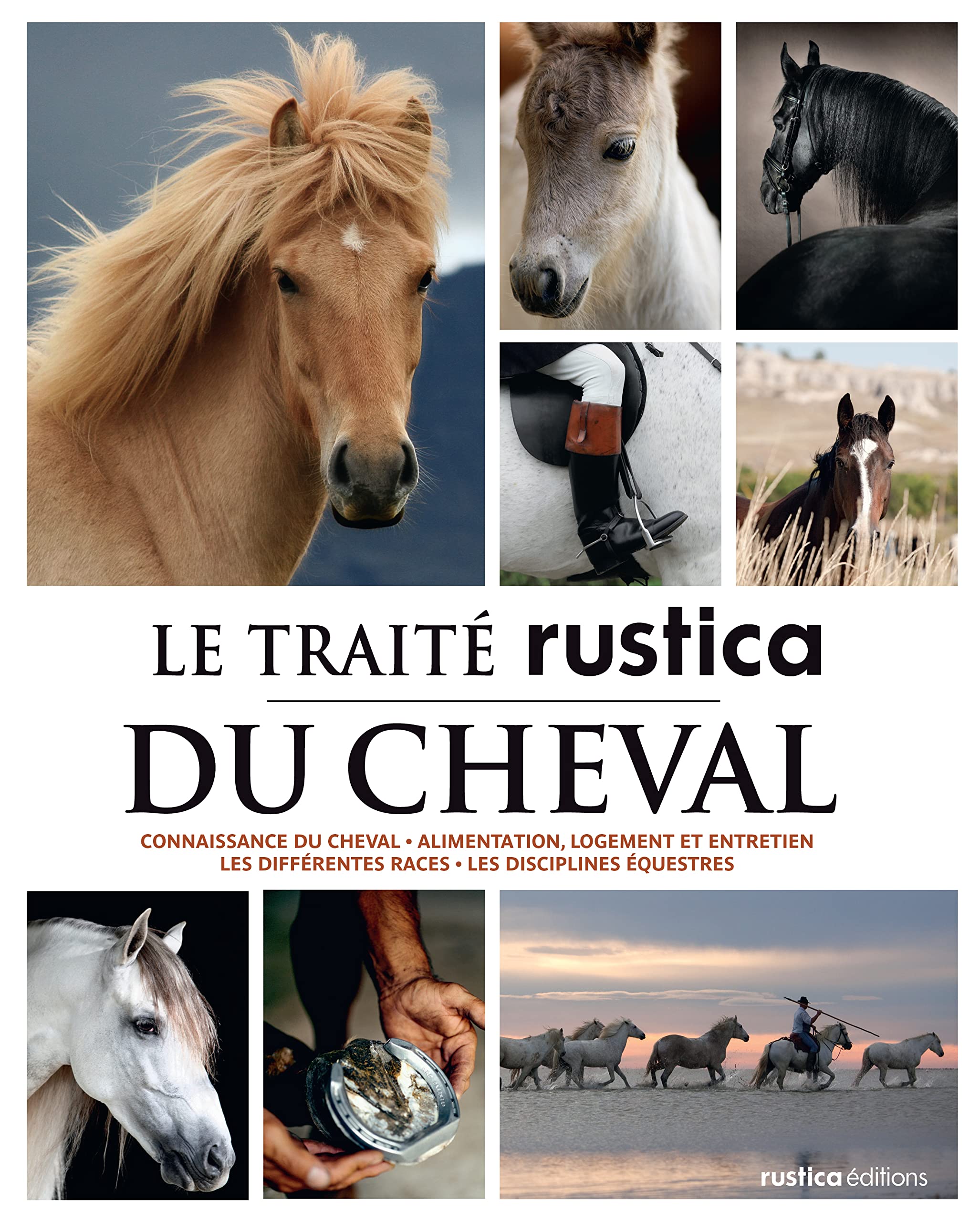 Le traité Rustica du cheval: Connaissance du cheval - Alimentation, logement et entretien - Les différentes races - Les disciplin 9782840388357