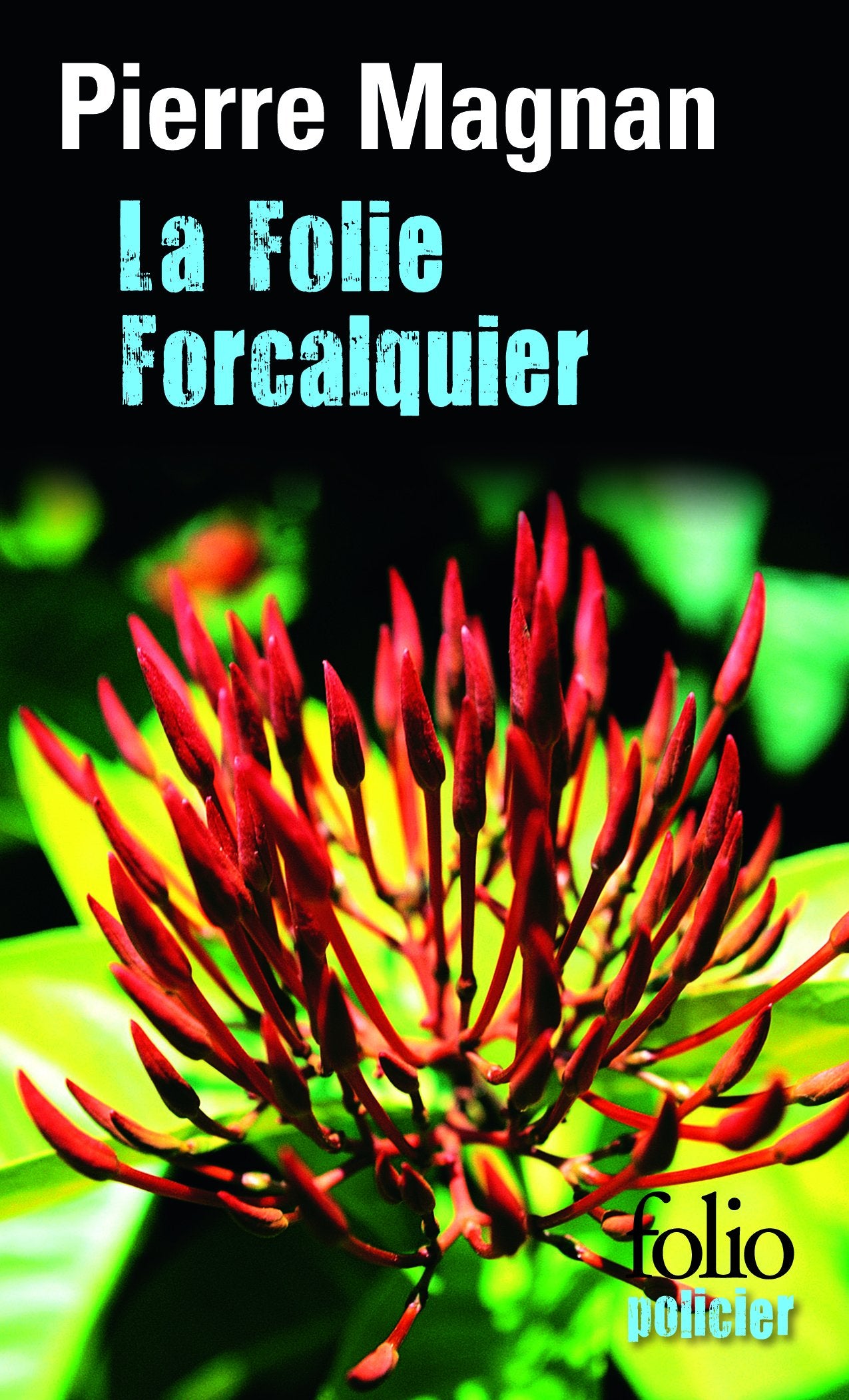 La Folie Forcalquier 9782070410262
