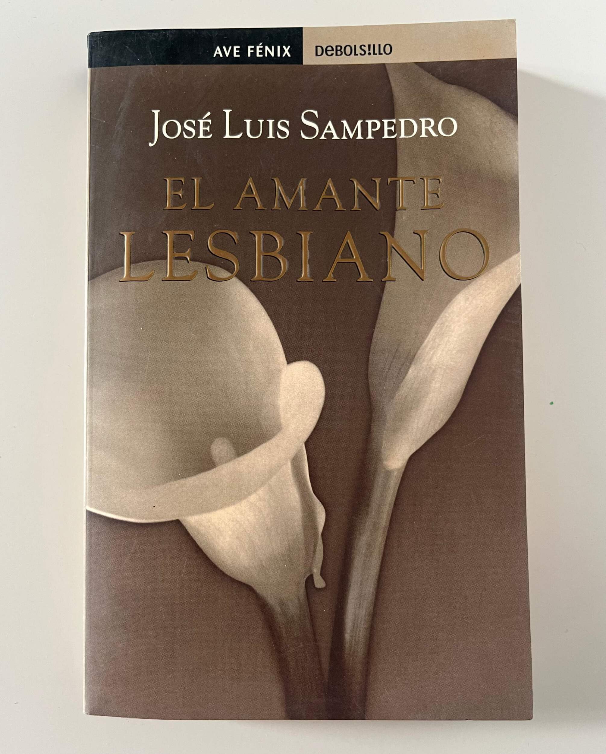 El amante lesbiano 9788484504320