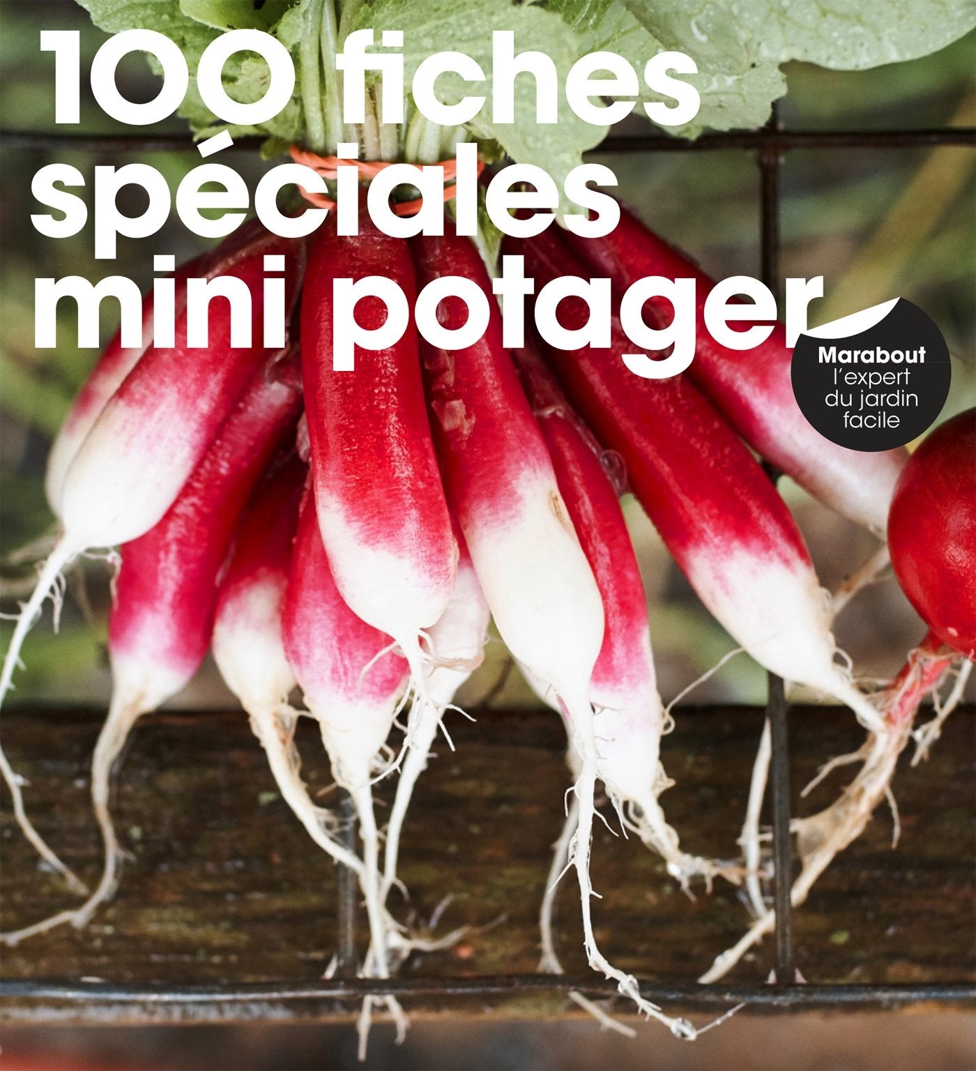 100 fiches spéciales mini potager 9782501120470