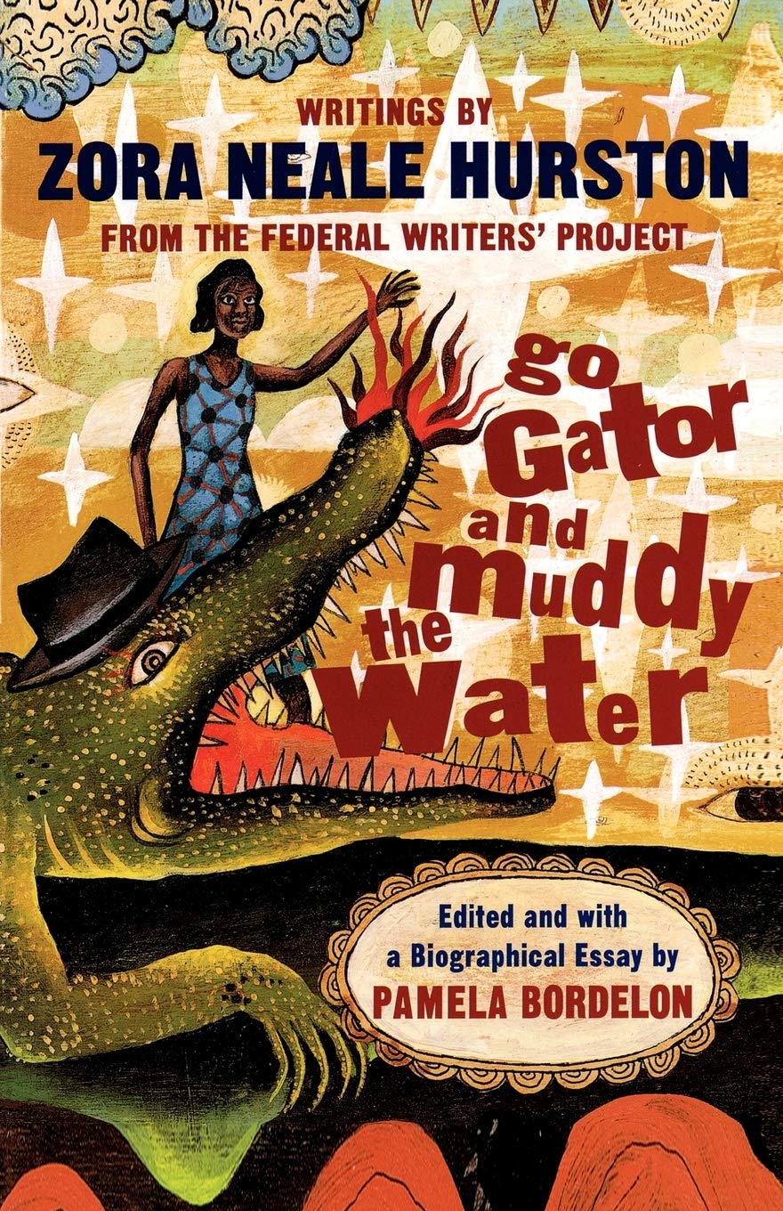 Go Gator and Muddy the Water 9780393318135
