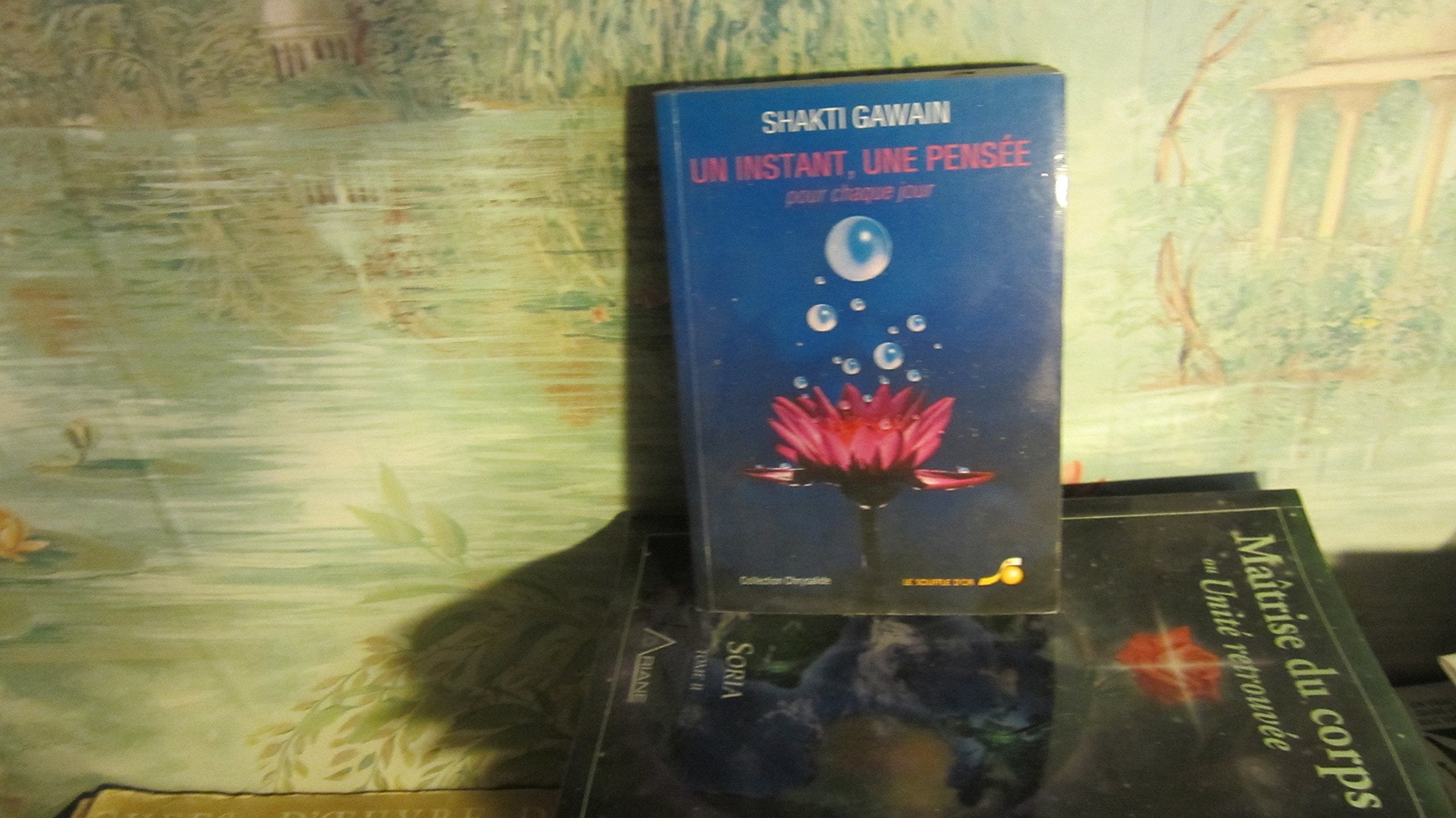 Un instant, une pensée, pour chaque jour 9782904670343