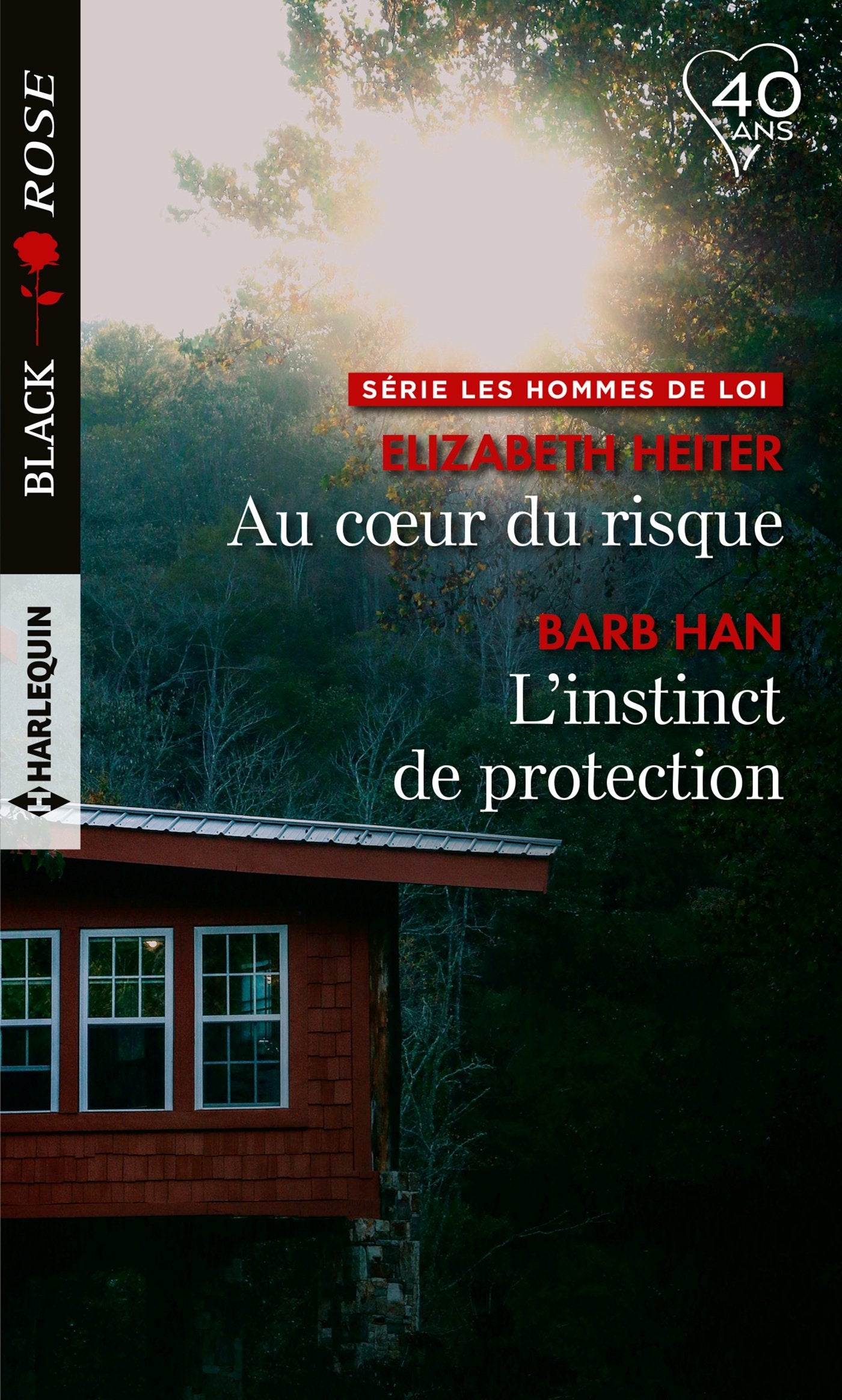 Au coeur du risque - L'instinct de protection 9782280382786