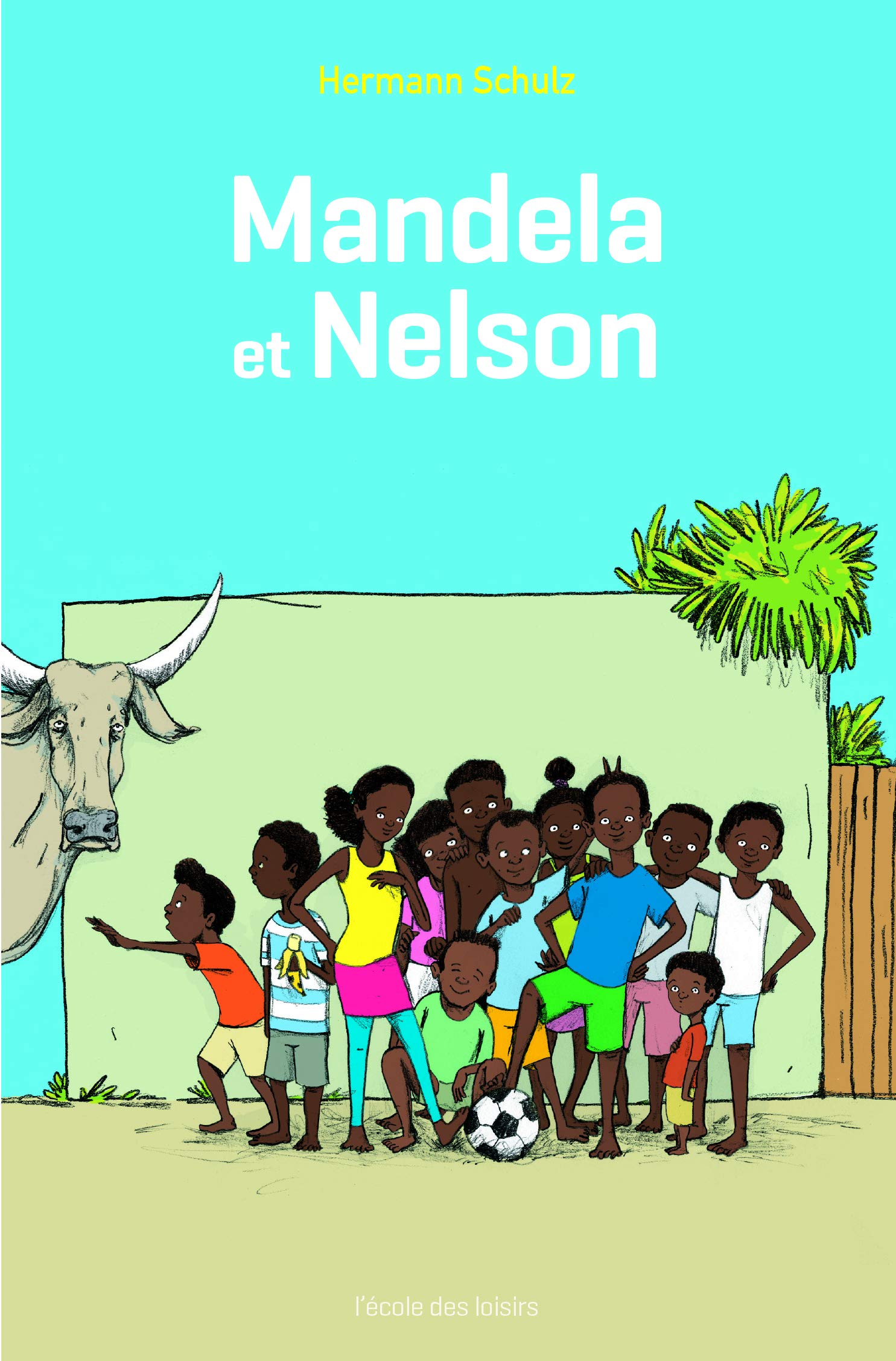mandela et nelson (poche) 9782211235921