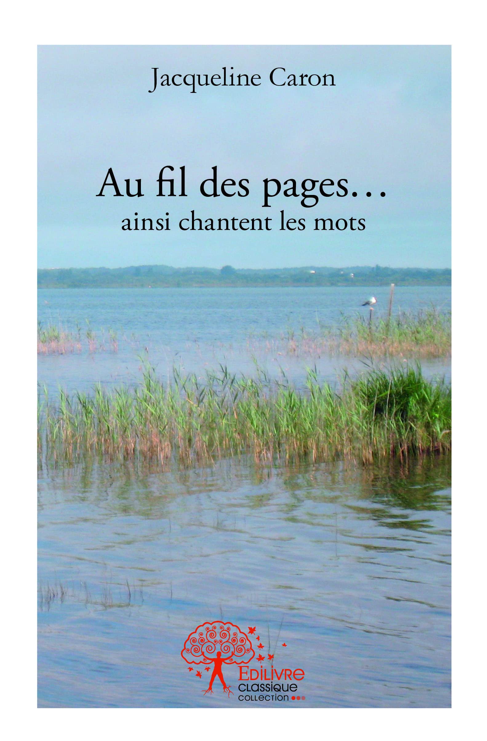 Au fil des pages...ainsi chantent les mots 9782332511263