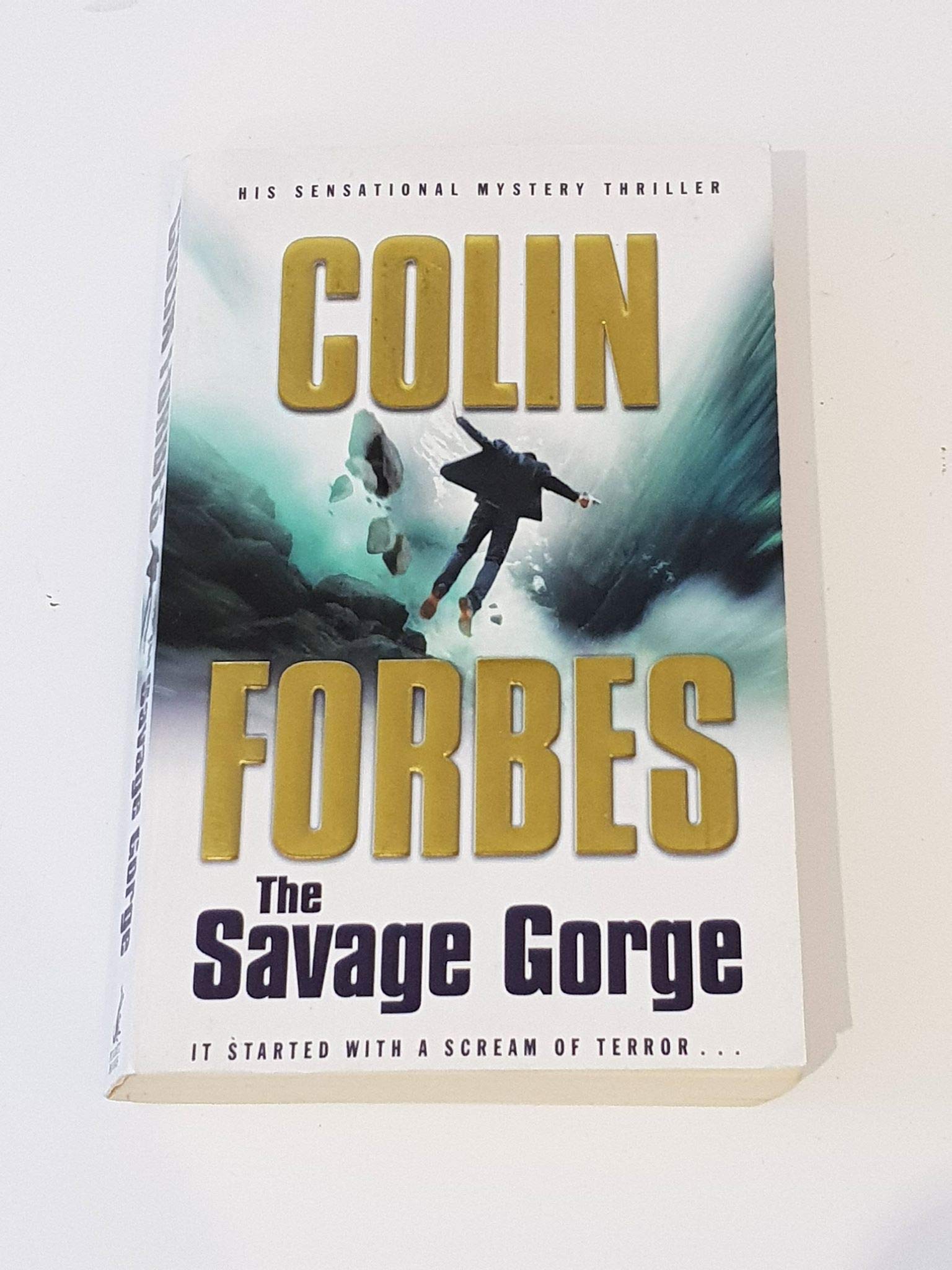 The Savage Gorge 9781416526438