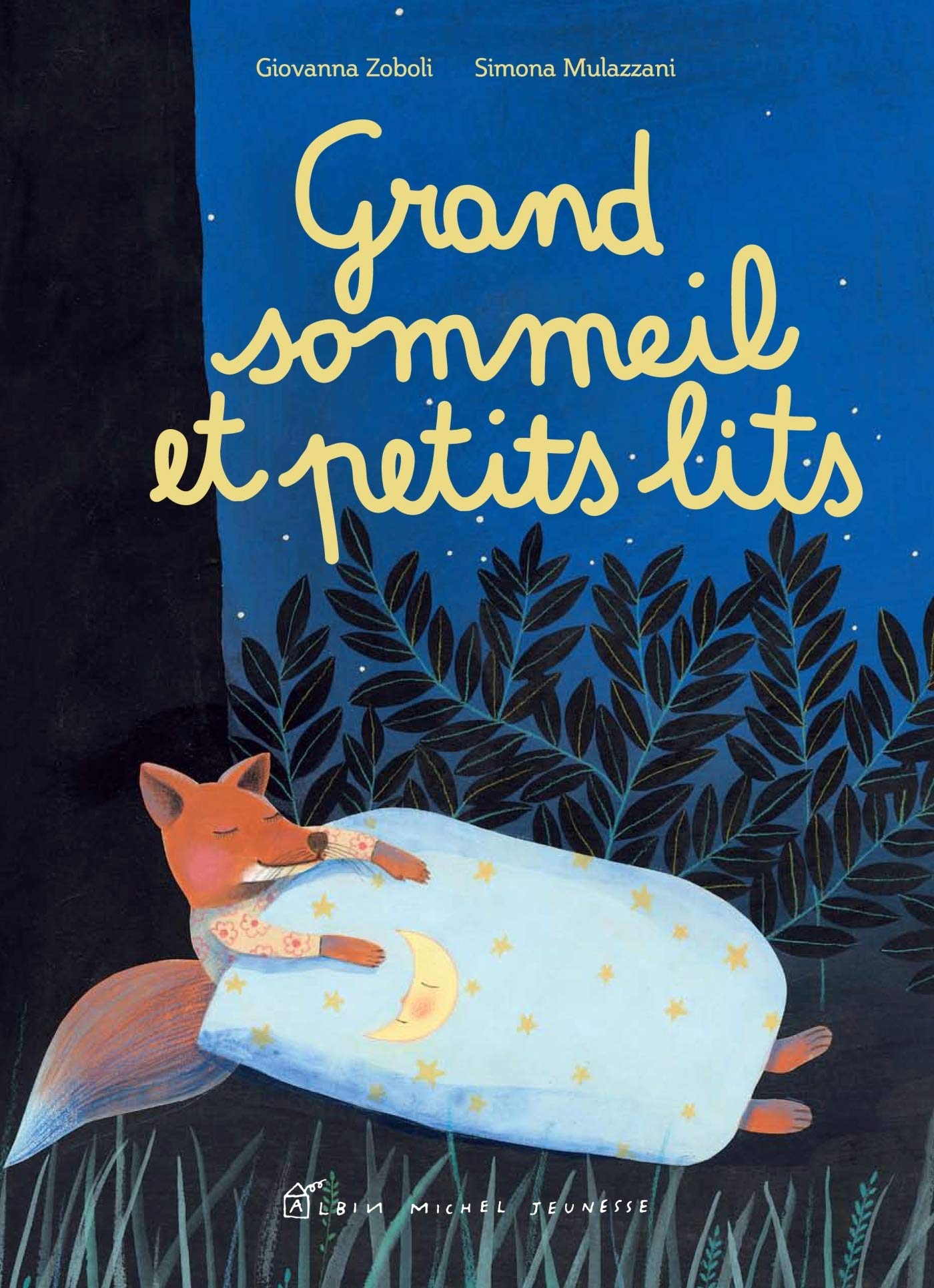 Grand sommeil et petits lits 9782226243478