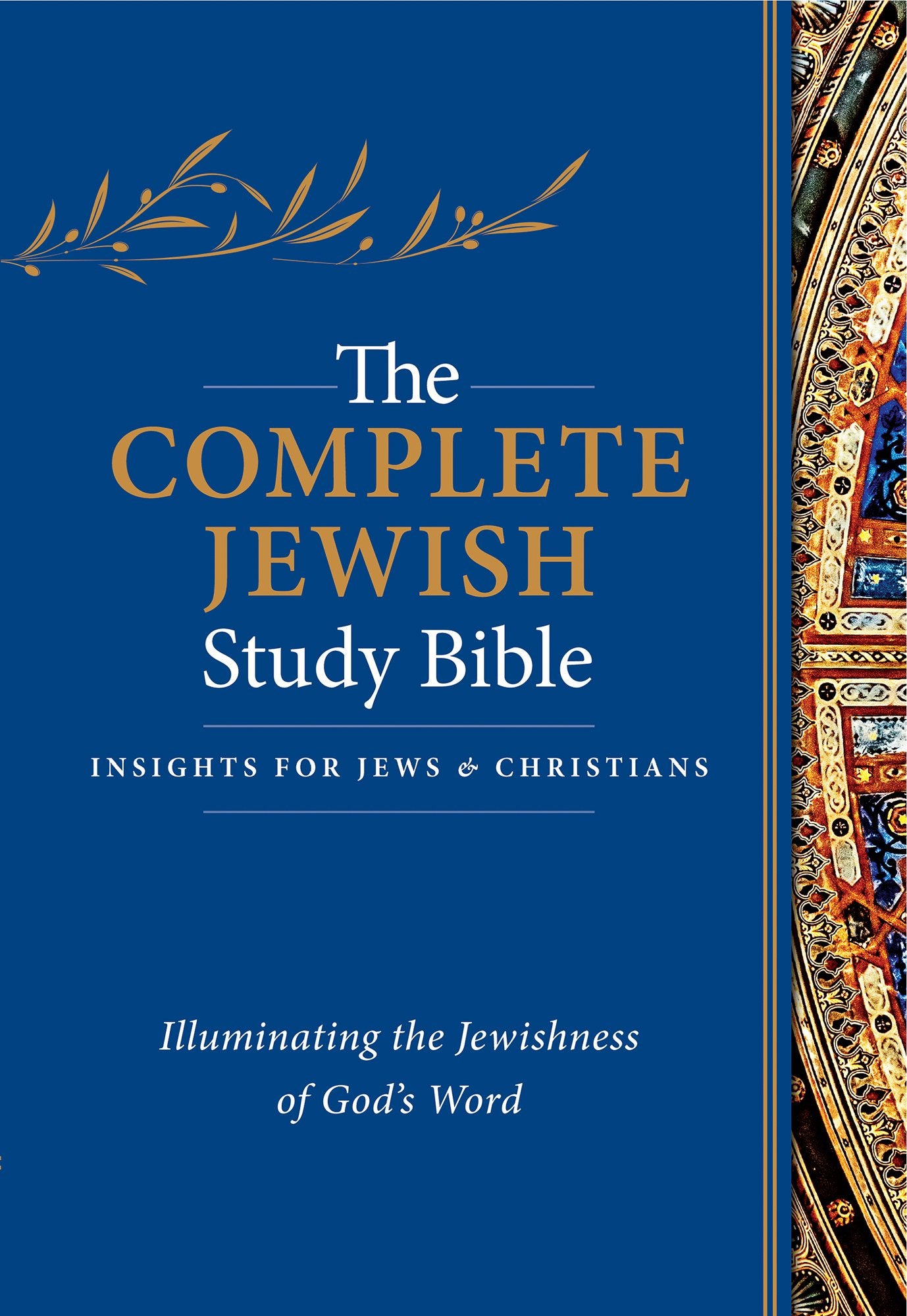 The Complete Jewish Study Bible: Insights for Jews & Christians: Illuminating the Jewishness of God's Word 9781619708679