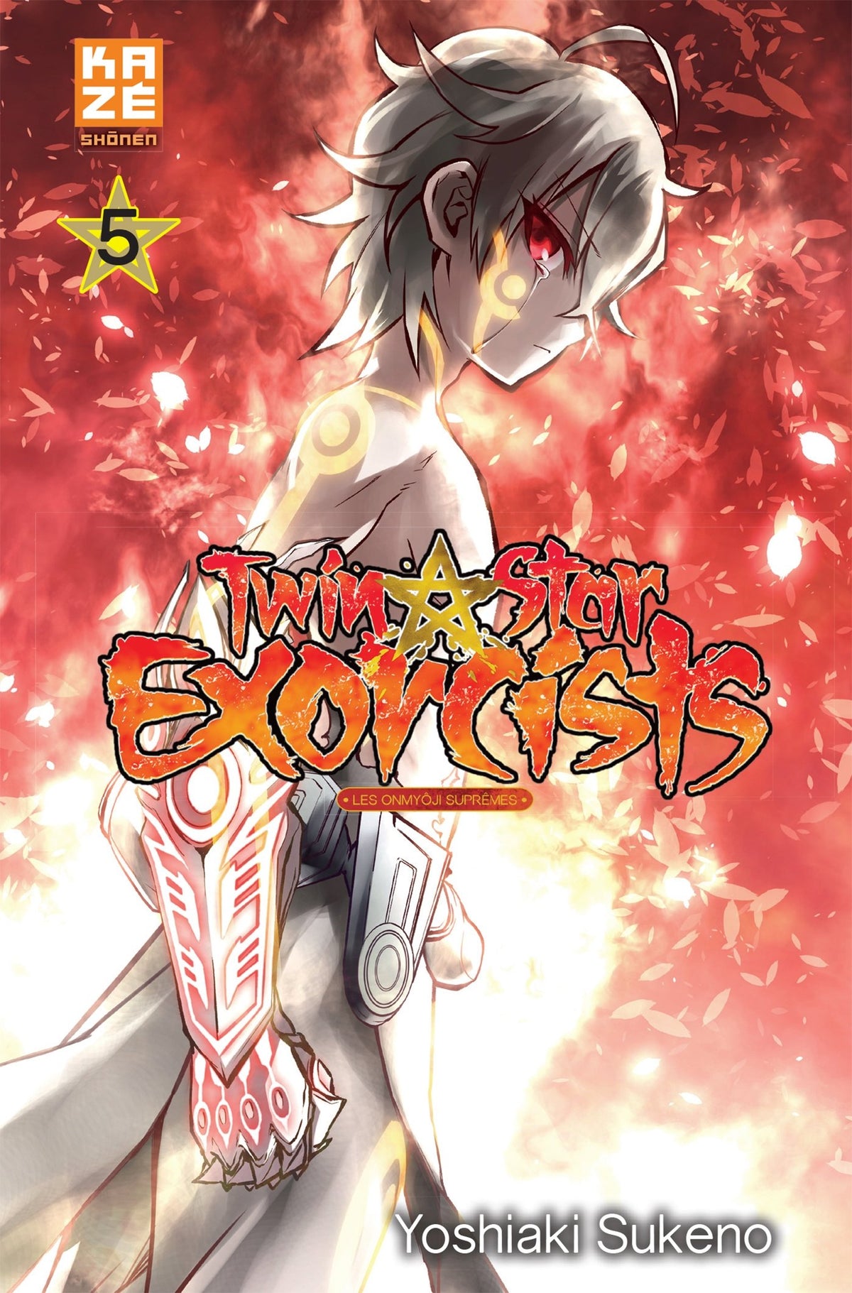 Twin Star Exorcists T05 9782820323071