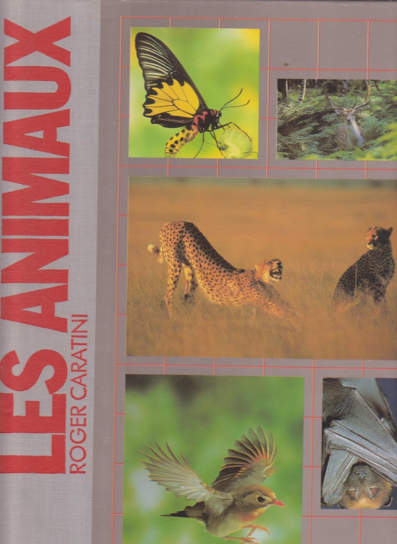 Les Animaux 9782040153373