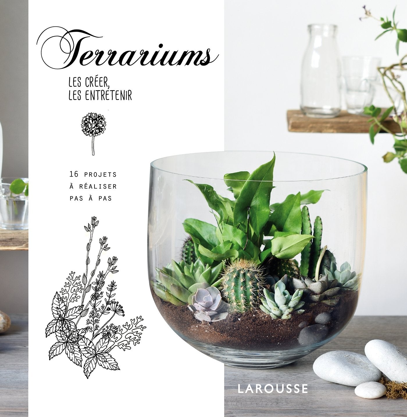 Terrariums, les créer, les entretenir 9782035926746