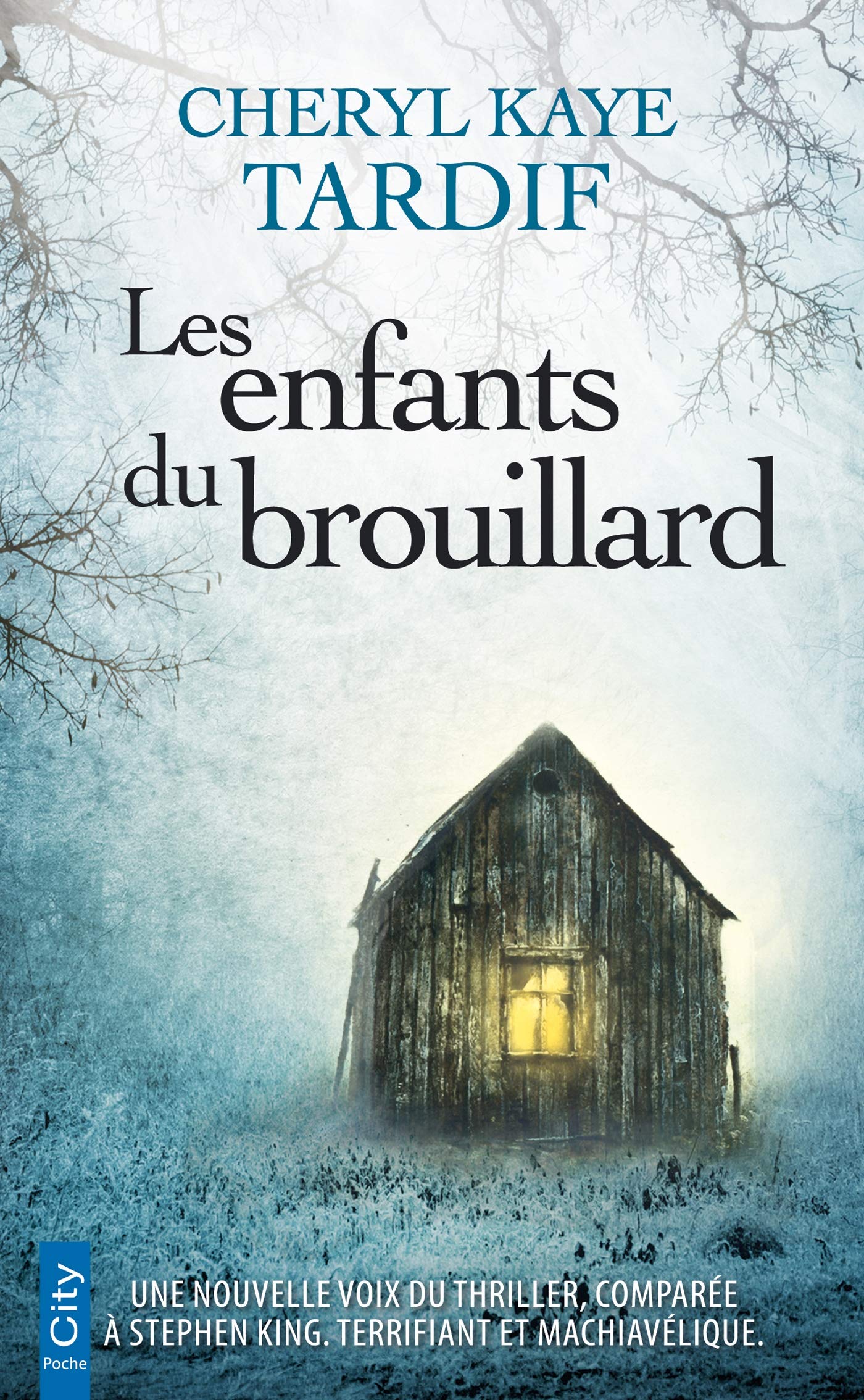 Les enfants du brouillard 9782824612980