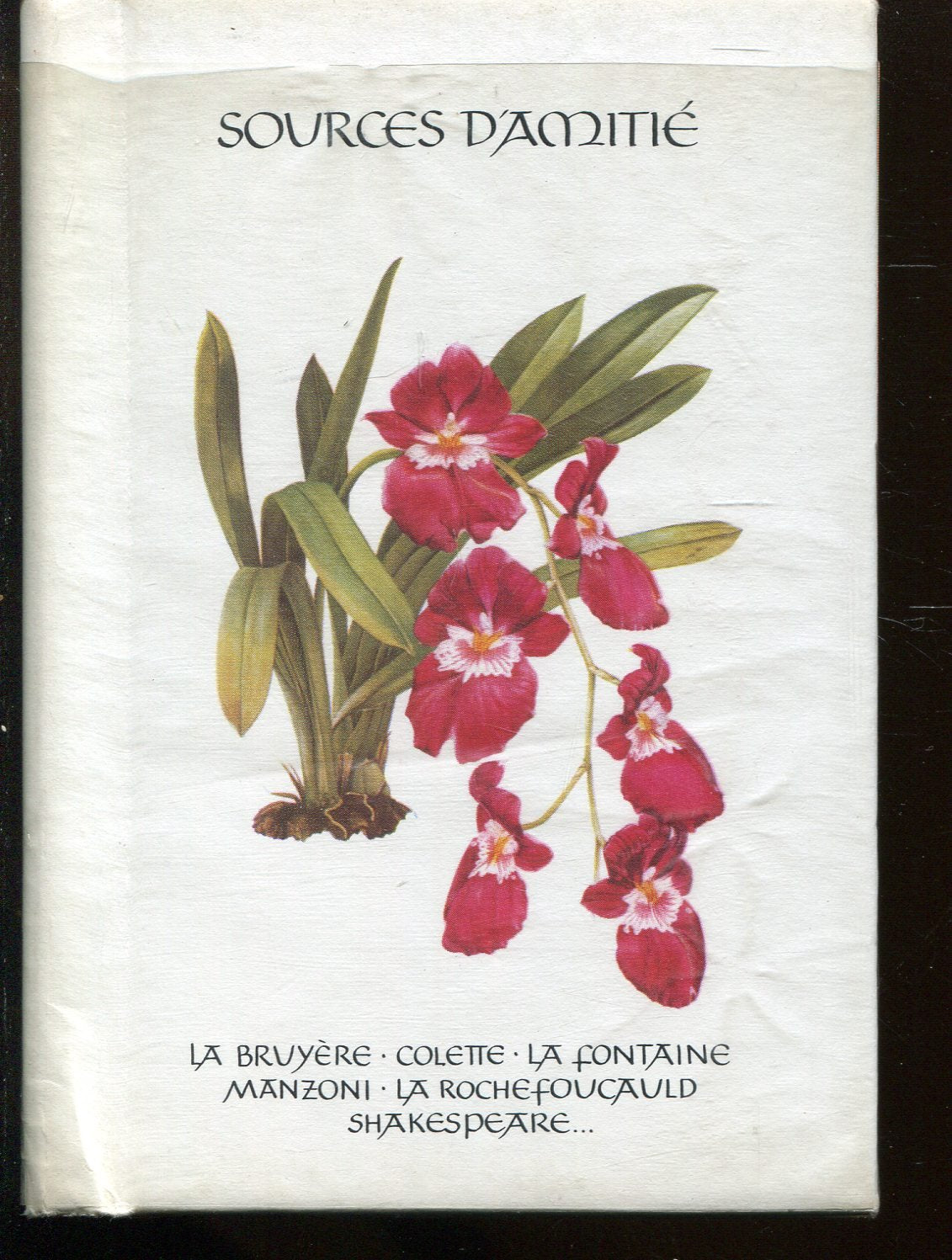 Sources D'Amitie 9783857886058