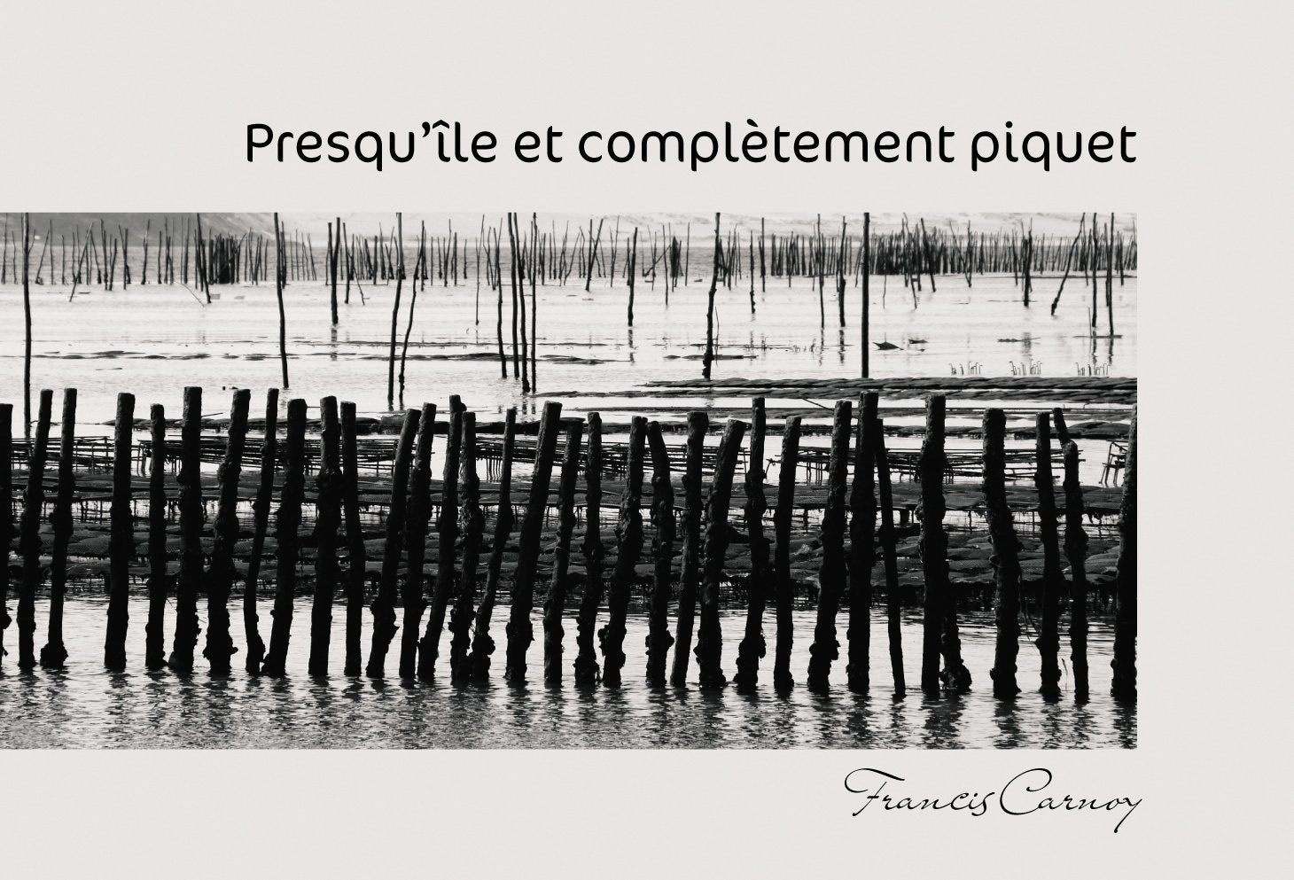 Presqu'Ile et Completement Piquet 9782952611749