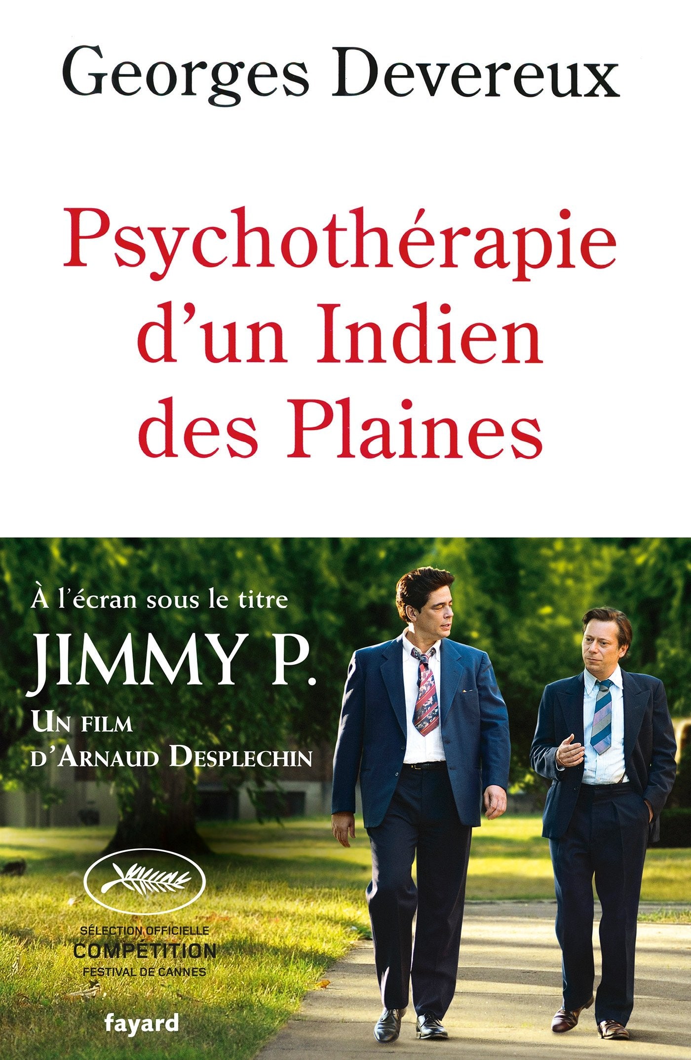 Psychothérapie d'un indien des Plaines 9782213678528
