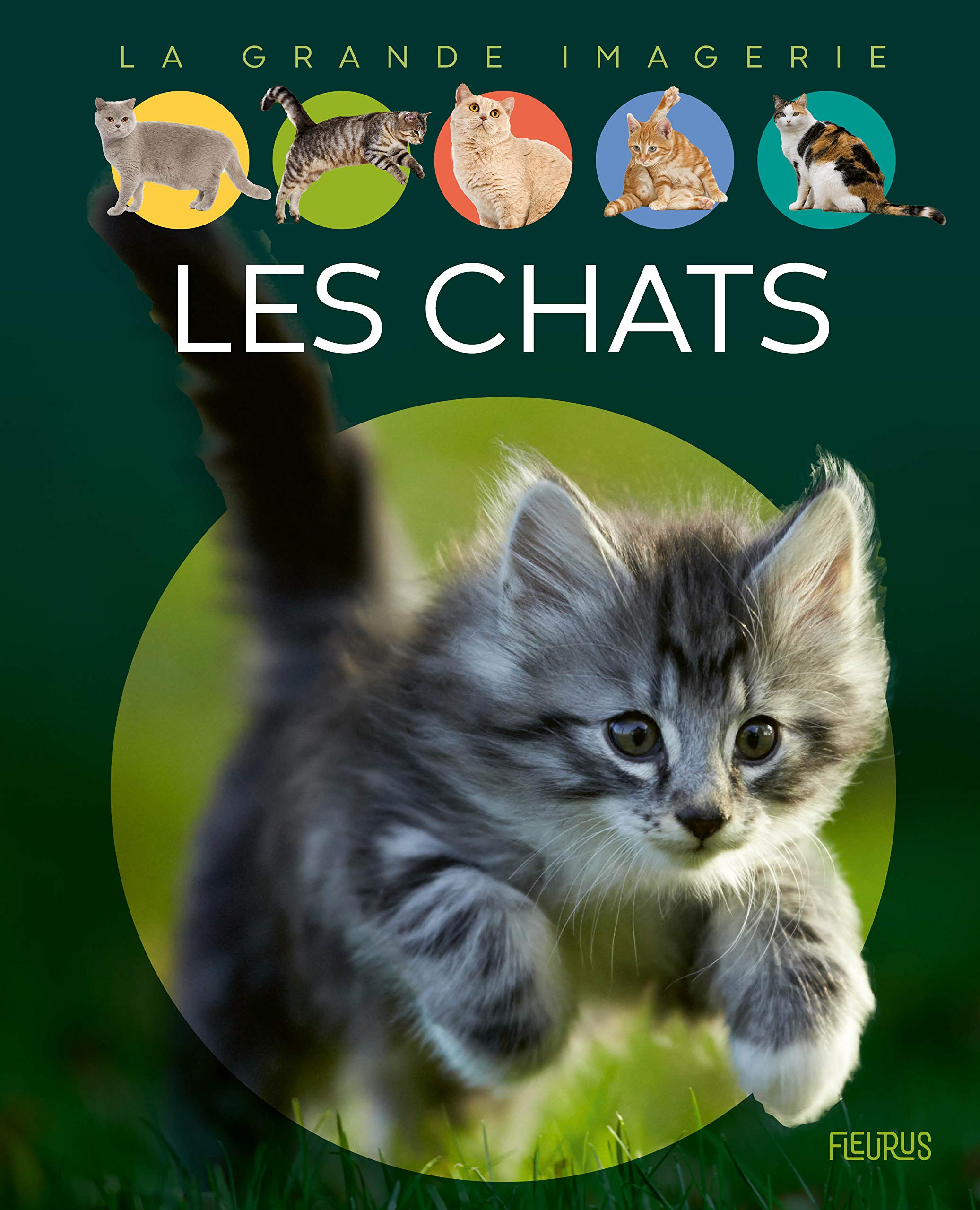 Les chats 9782215158226