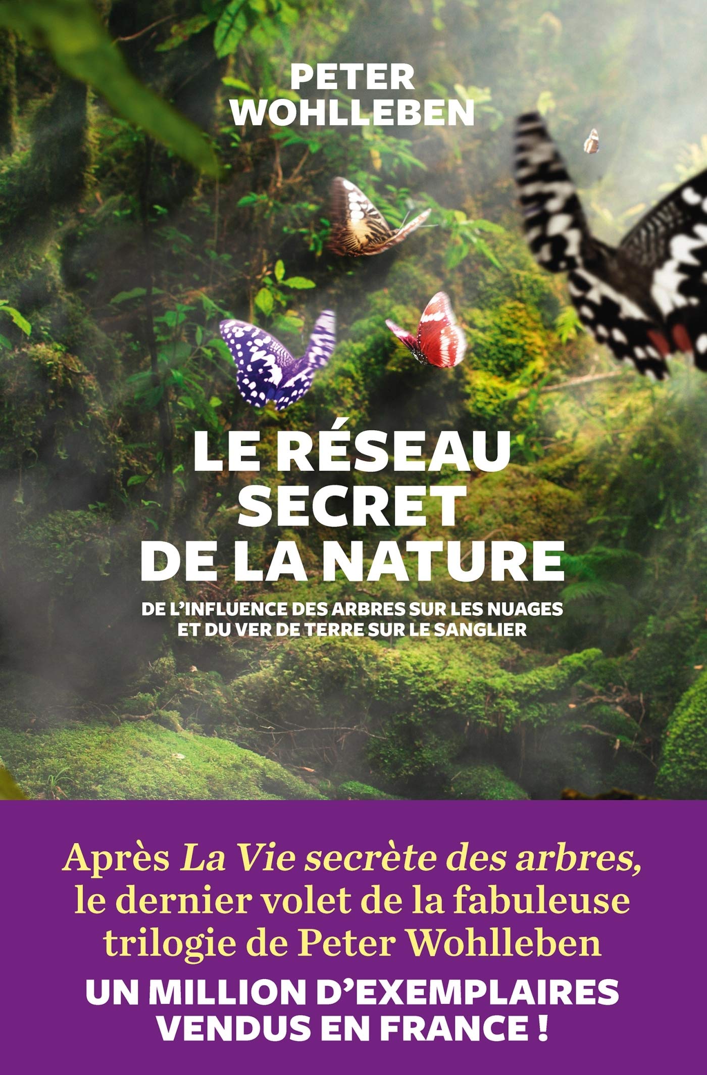 Le Réseau secret de la nature: De l'influence des arbres sur les nuages et du ver de terre sur le sanglier 9782711200993