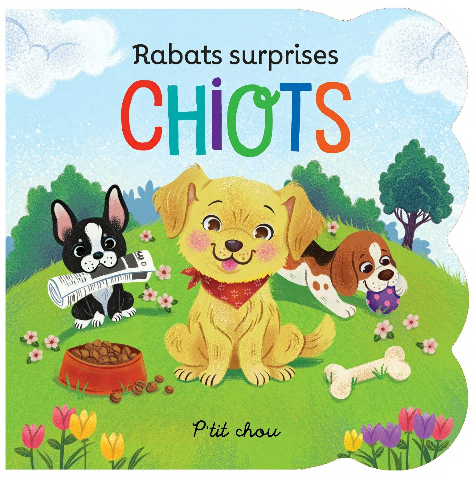 Rabats surprises - Chiots 9782897519506